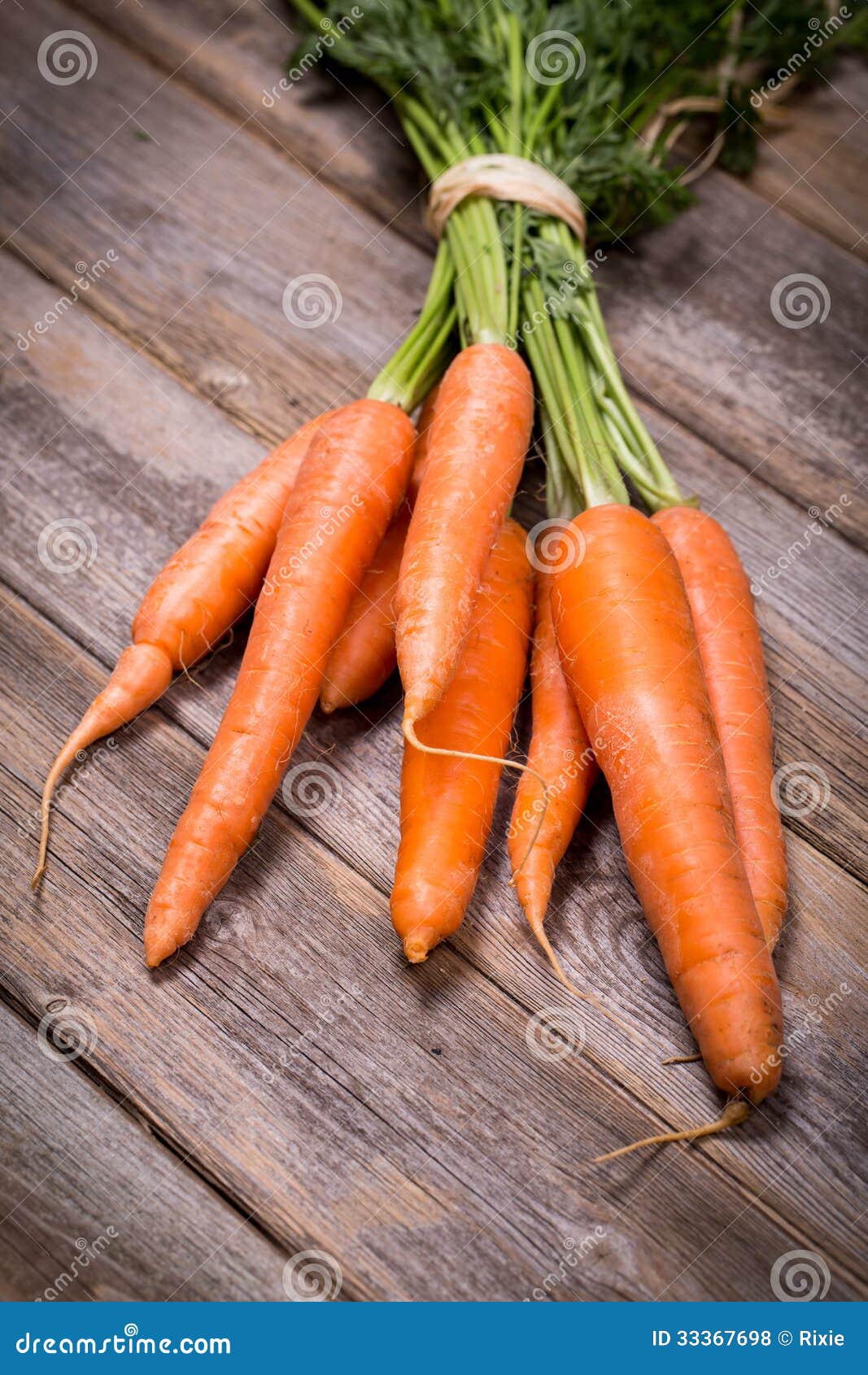 Bunched carrots stock photo. Image of leaves, agriculture 33367698