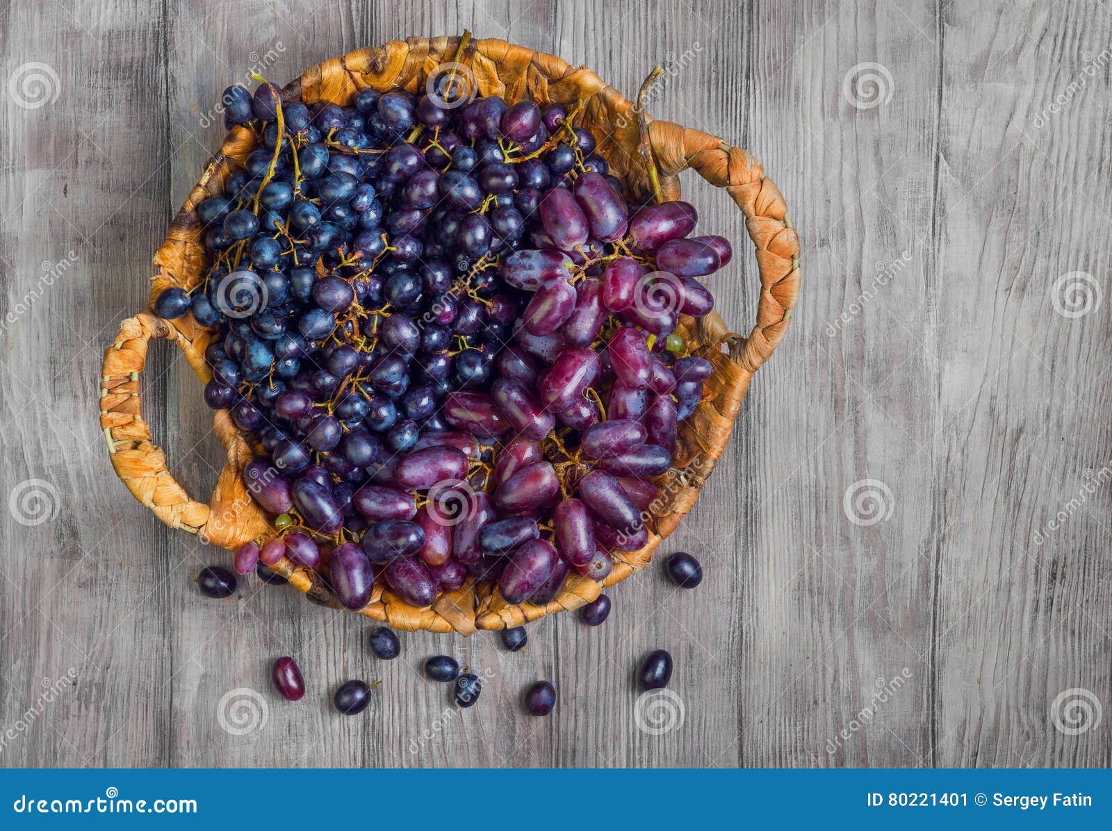 Bunches of Blue Purple Grape Stock Image - Image of finger, berries ...