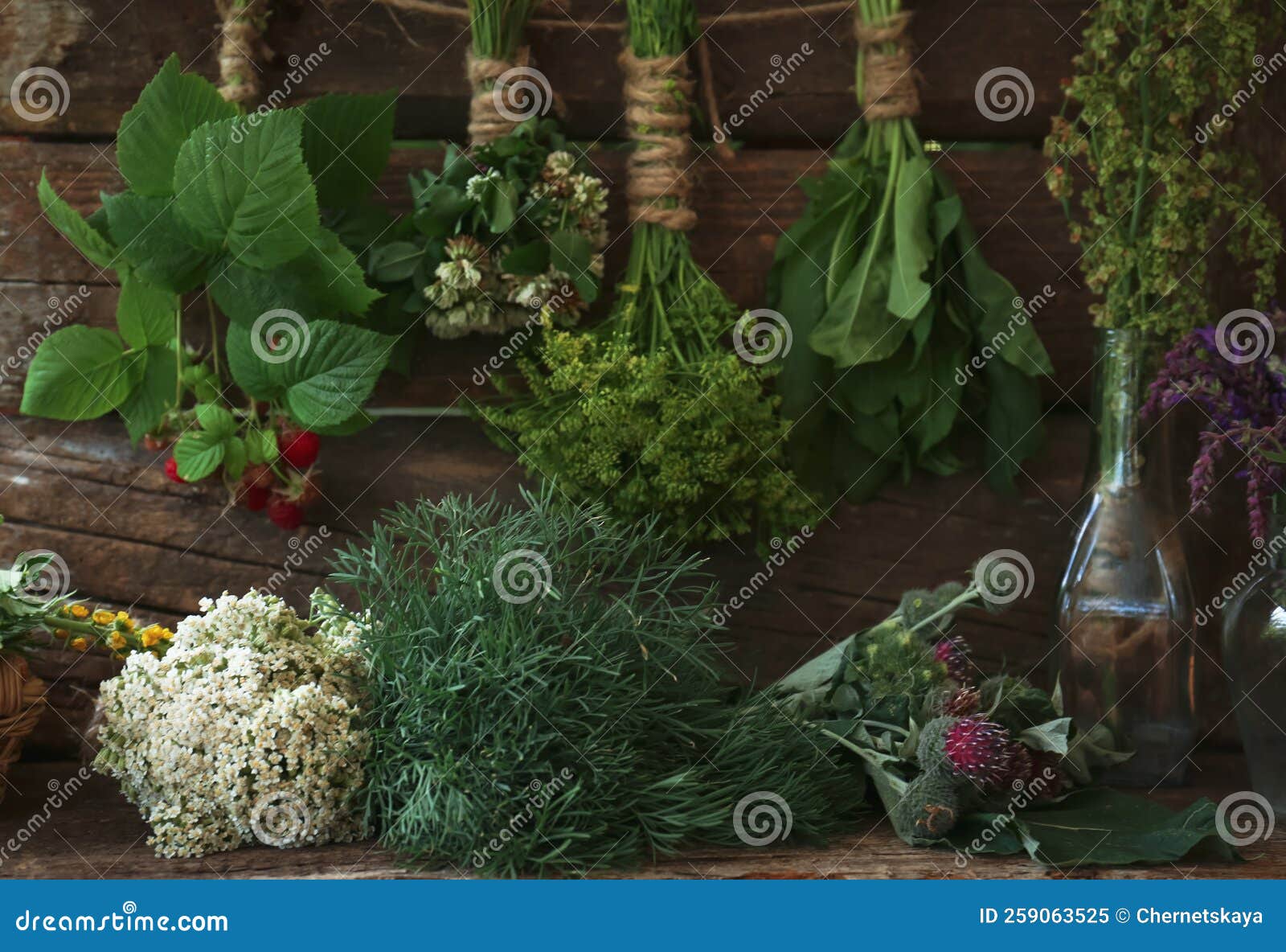 Bunches of Different Beautiful Dried Flowers and Herbs Indoors Stock