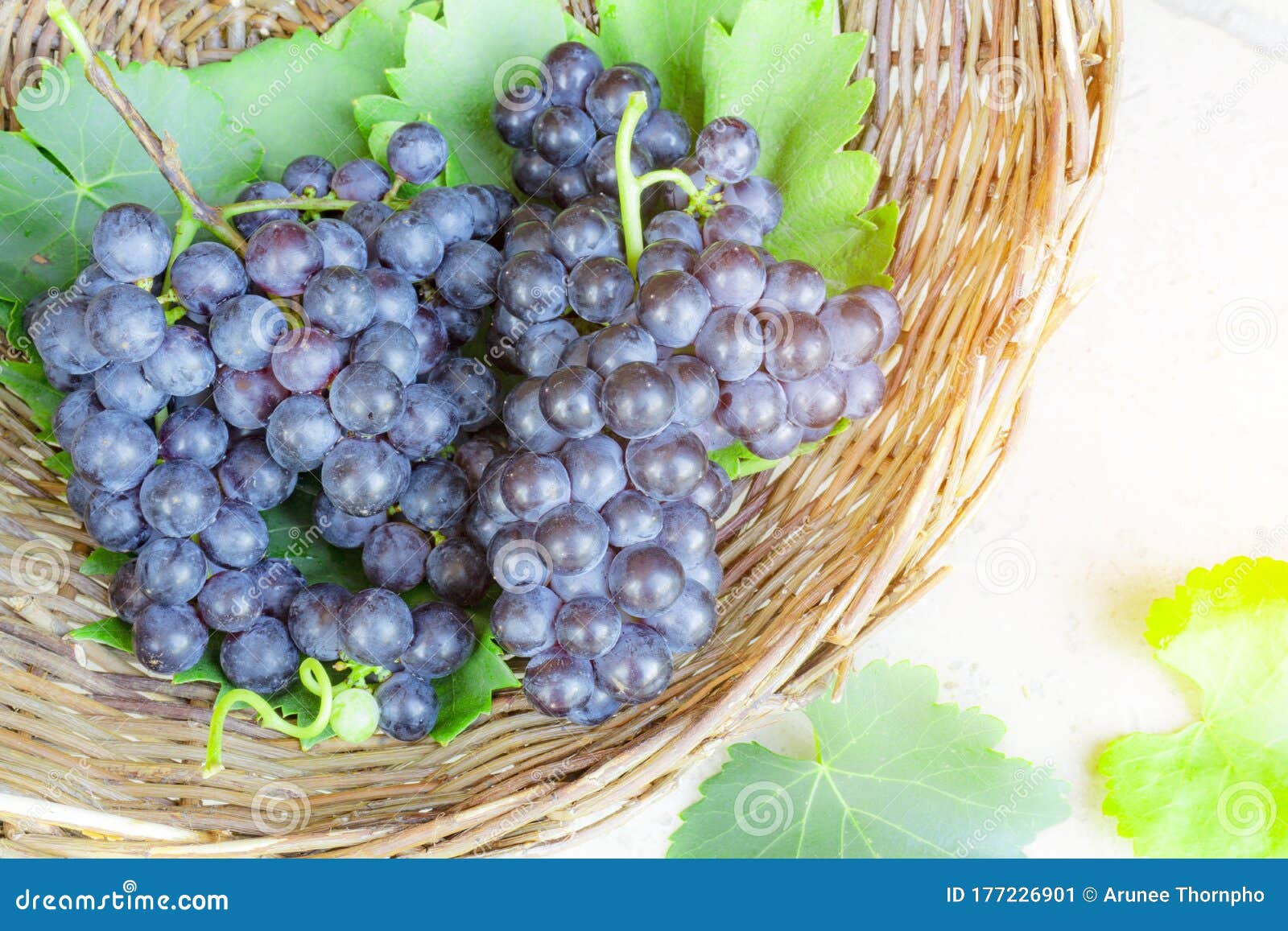 Bunches of Fresh Deep Black Ripe Grape Fruits with Green Leaves in a ...