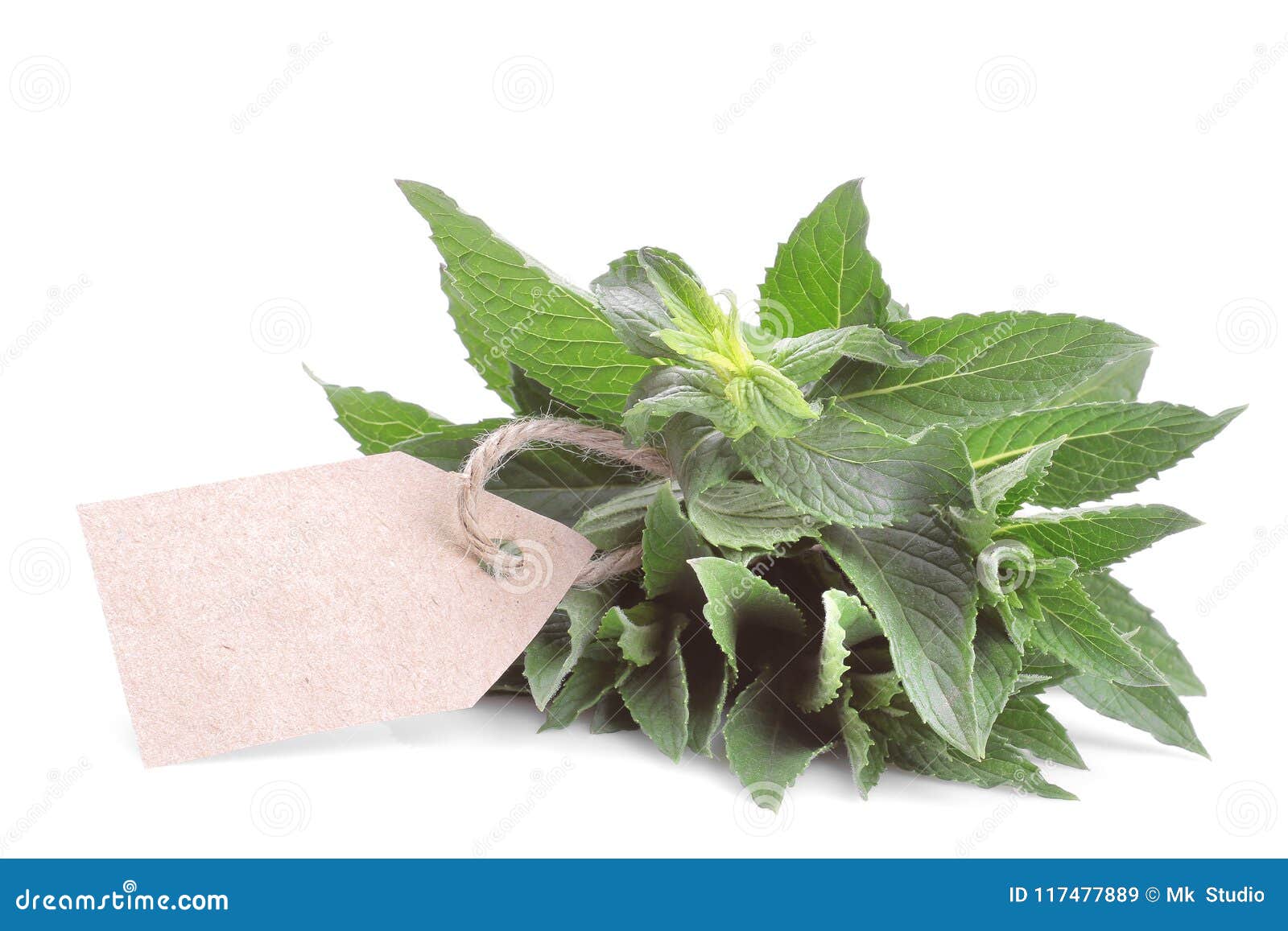 a bunch of fresh mint with a sticker. 