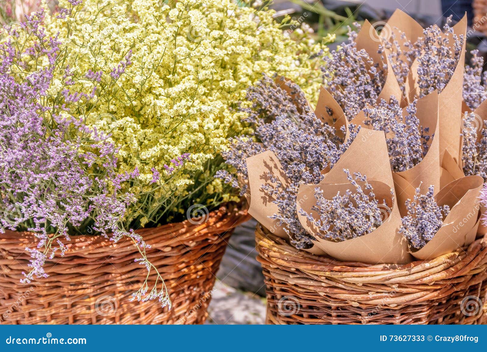Bunches of fresh lavender stock image. Image of aroma 73627333