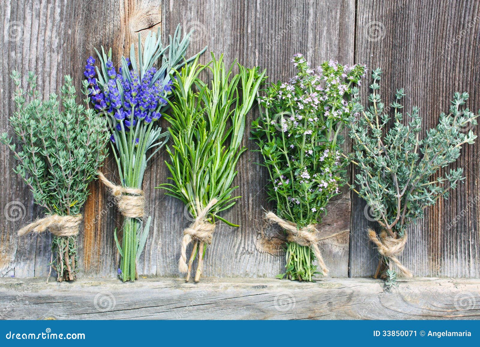 Bunches of herbs stock image. Image of lean, group, organic 33850071