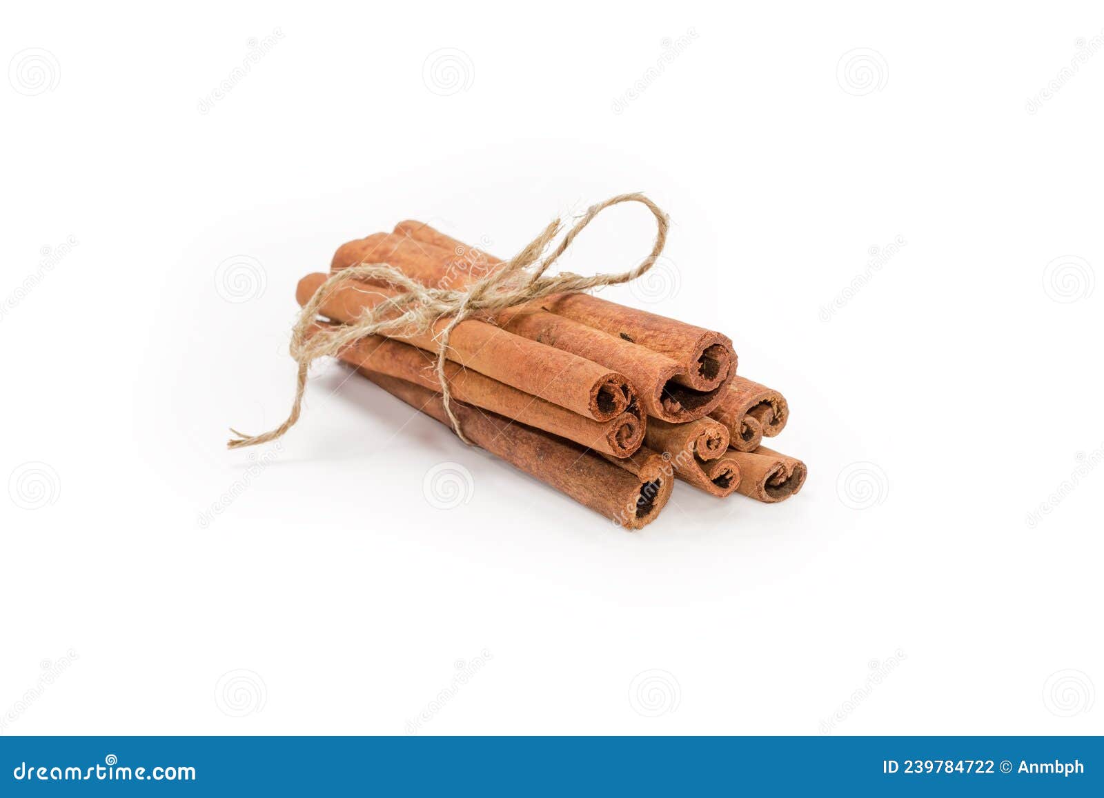 Bundle of Cinnamon Sticks on a White Background Stock Photo Image of