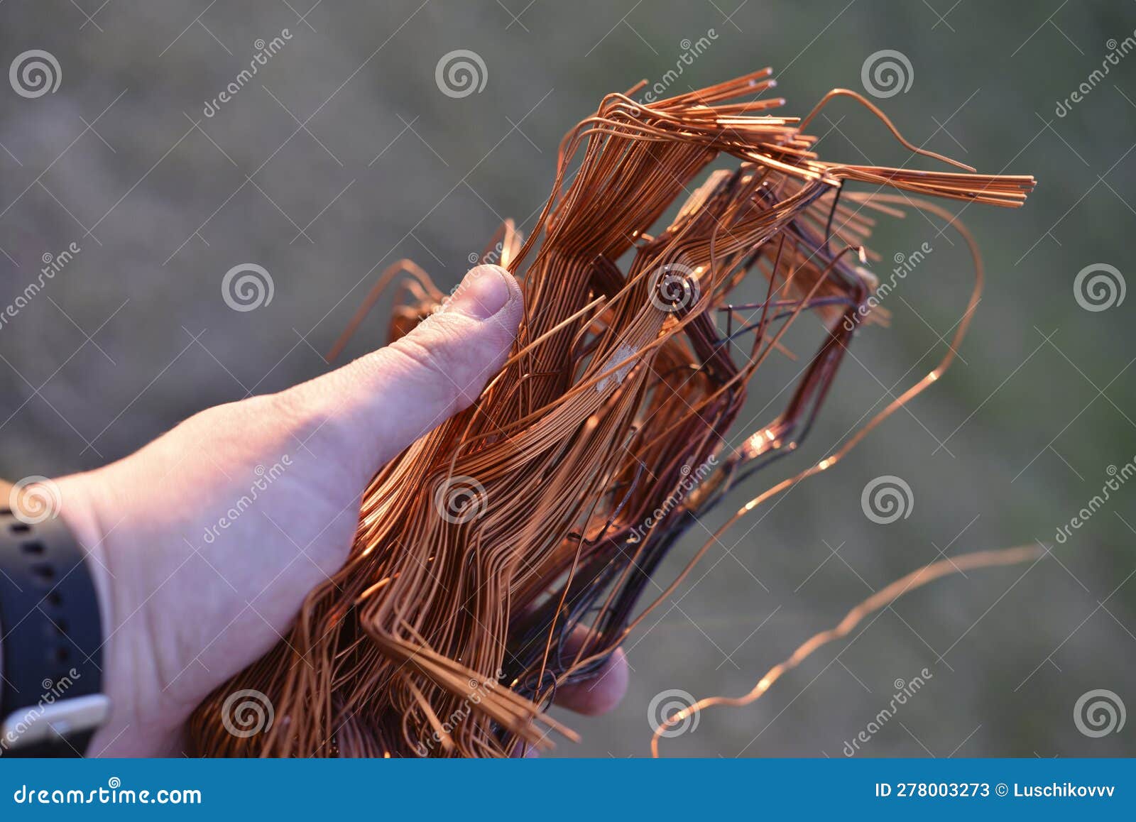 A Bundle of Copper Wire in His Hand. Copper Scrap Stock Image Image