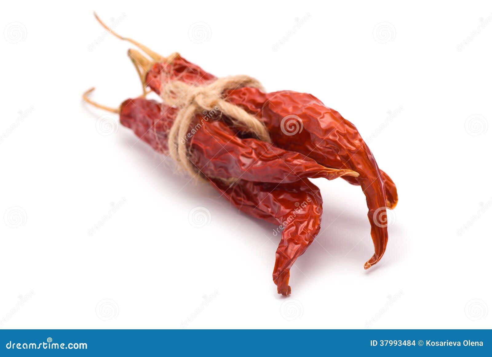 Bundle of Dried Chili Peppers Stock Photo Image of pepper, studio