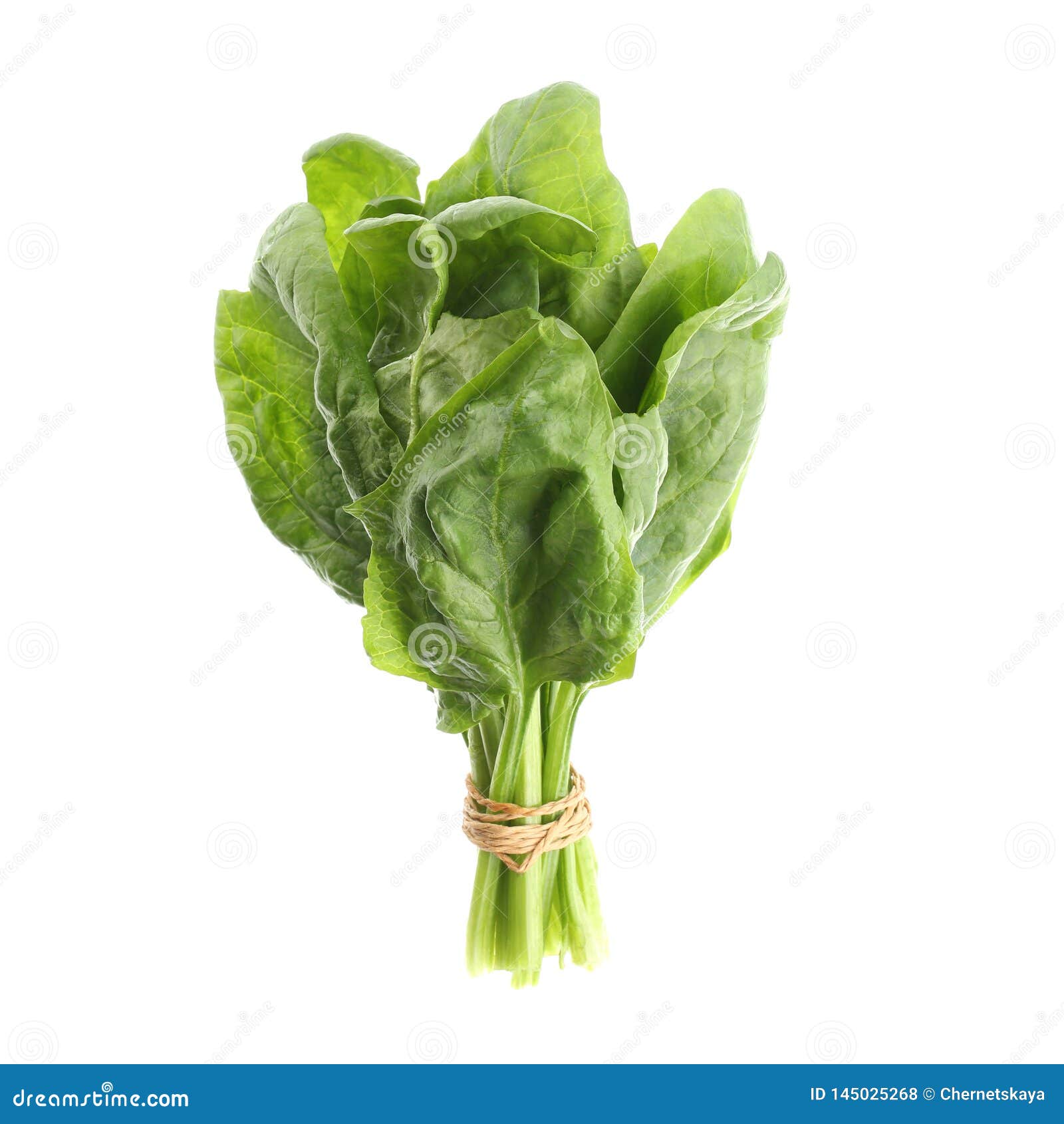 Bundle of Fresh Spinach Isolated Stock Photo Image of nutrition
