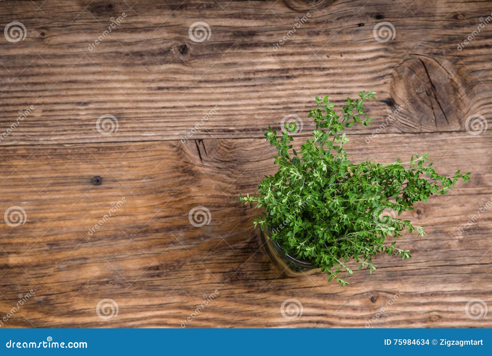 Bundle of Fresh Thyme on a Table Stock Photo Image of plant, cuisine