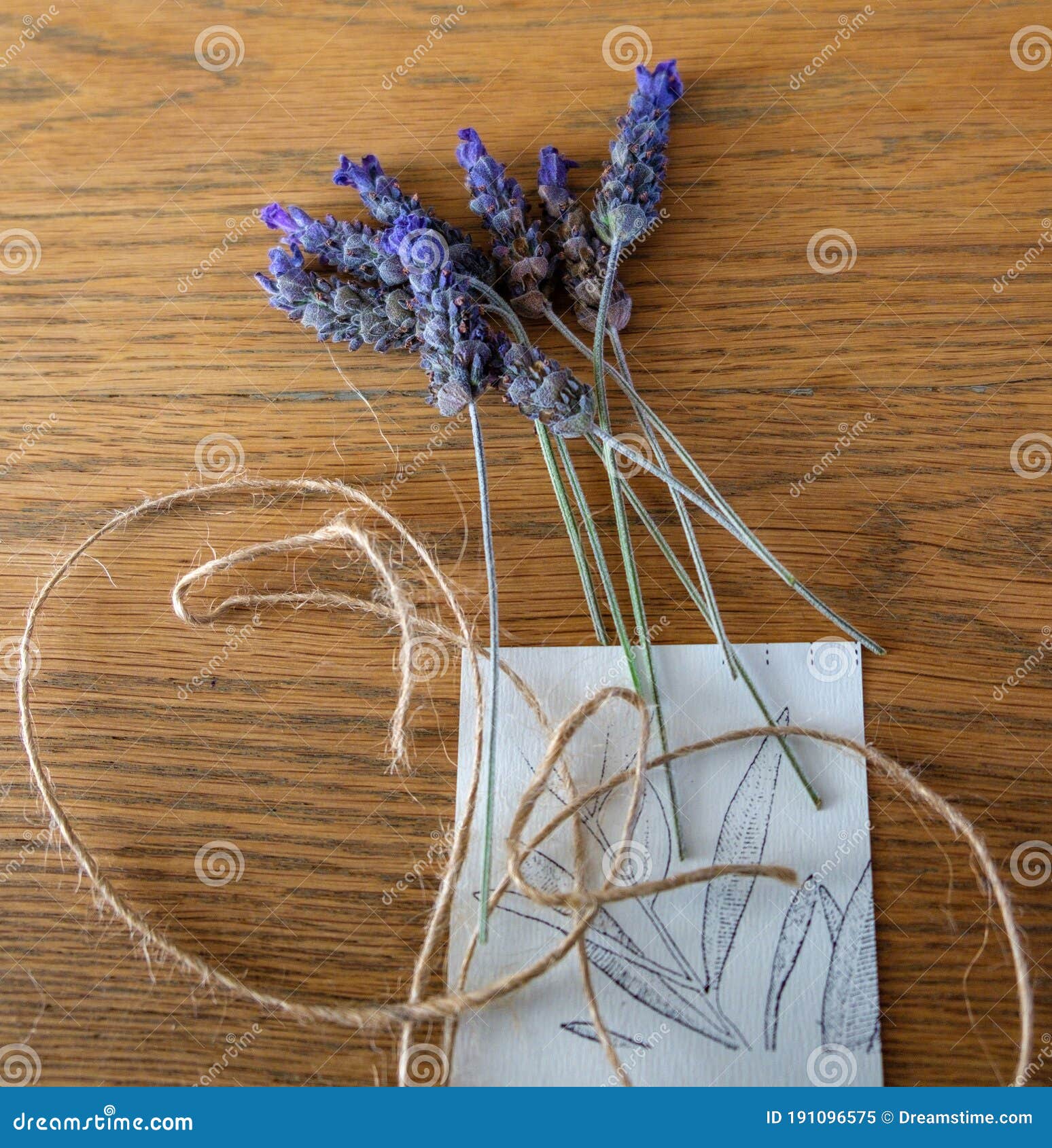 Bundle of Lavender with Loose Twine and an Card Stock