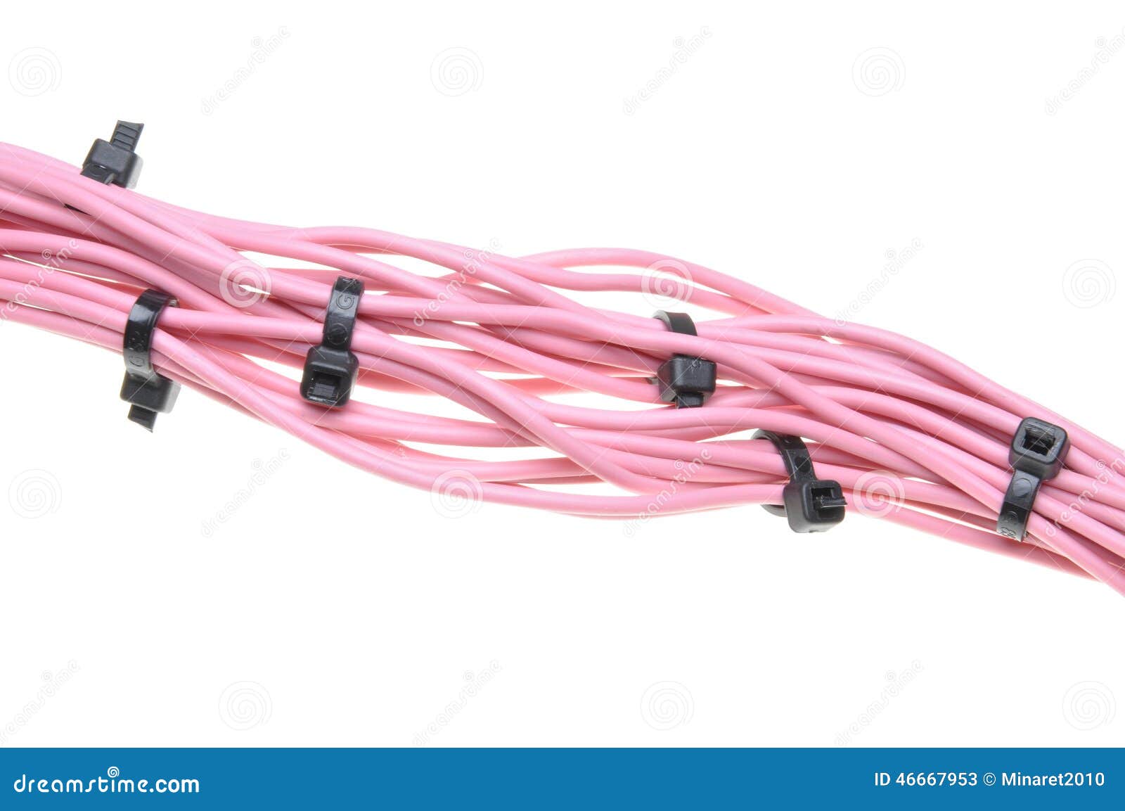 Bundle of Pink Cables with Black Cable Ties Stock Image Image of