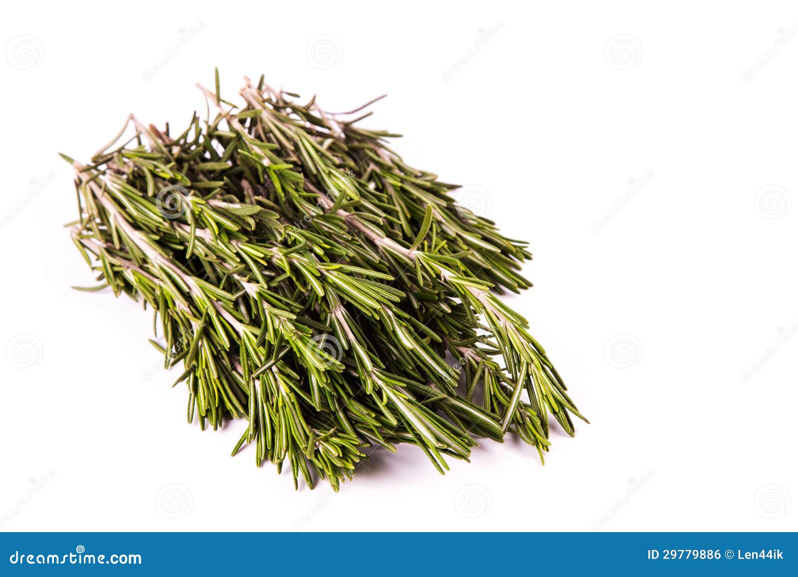 Bundle of Rosemary. Herbs, Spices. Stock Photo Image of freshness