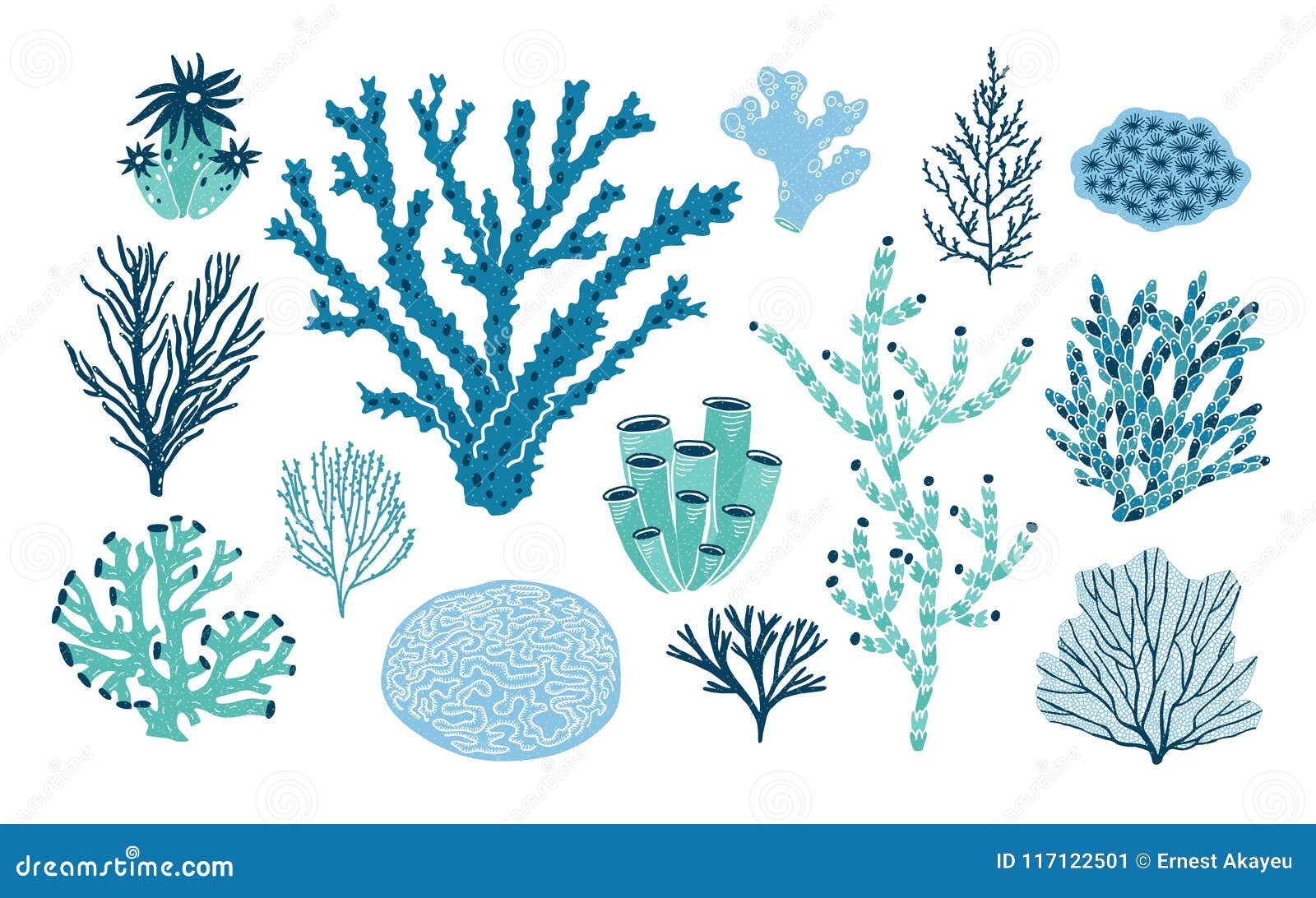 bundle of various corals and seaweed or algae  on white background. set of blue and green underwater species