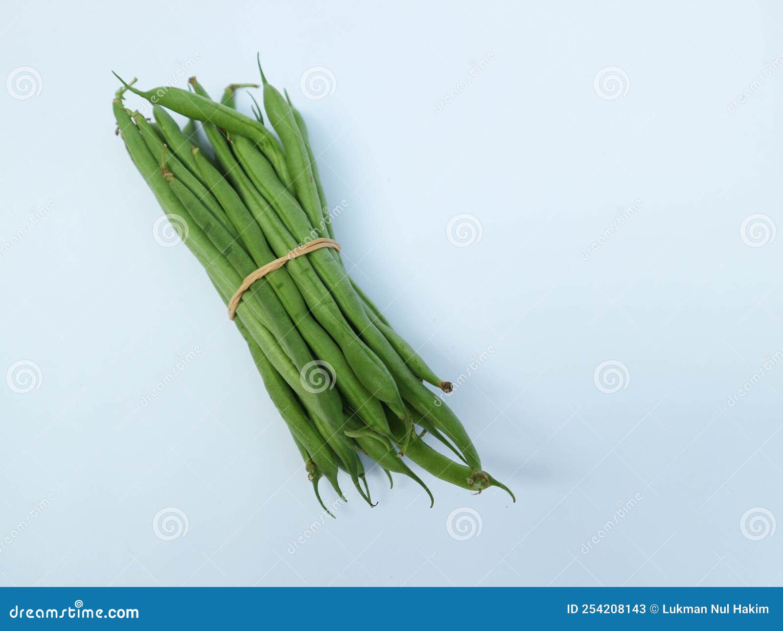 Bundled Fresh Raw Chickpeas or String Beans, Legumes Containing Protein