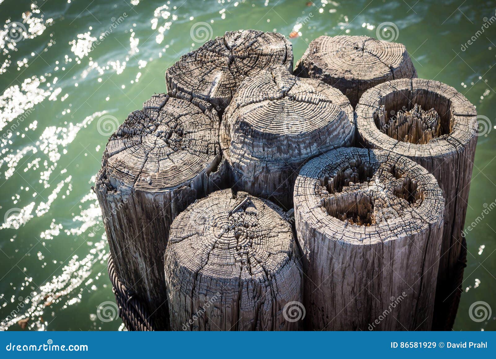 Bundled Wooden Boat Dock Pilings In Green Water Of Lake ... Bundled Wooden Boat Dock Pilings In Green Water Of Lake ...