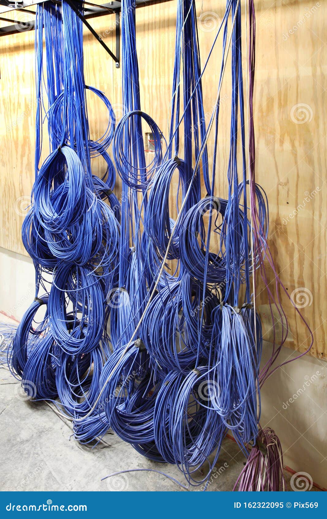 Bundles of Cat 5E Networking Cables. Stock Image Image of closeup