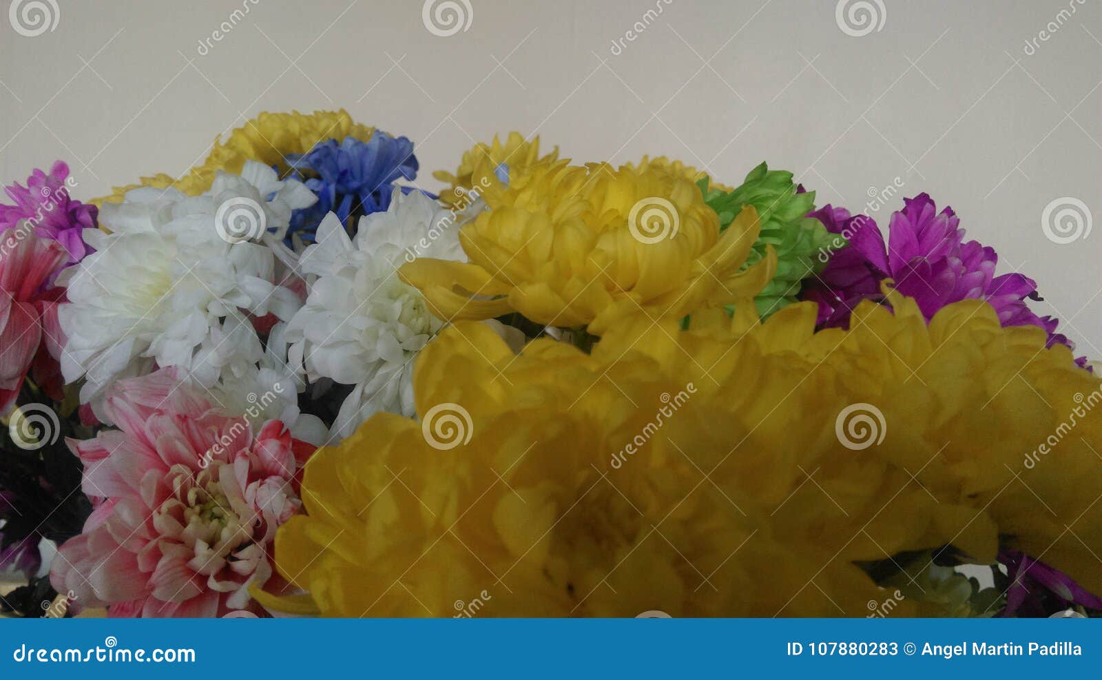 Bundles of Flowers stock image. Image of flowers, types 107880283