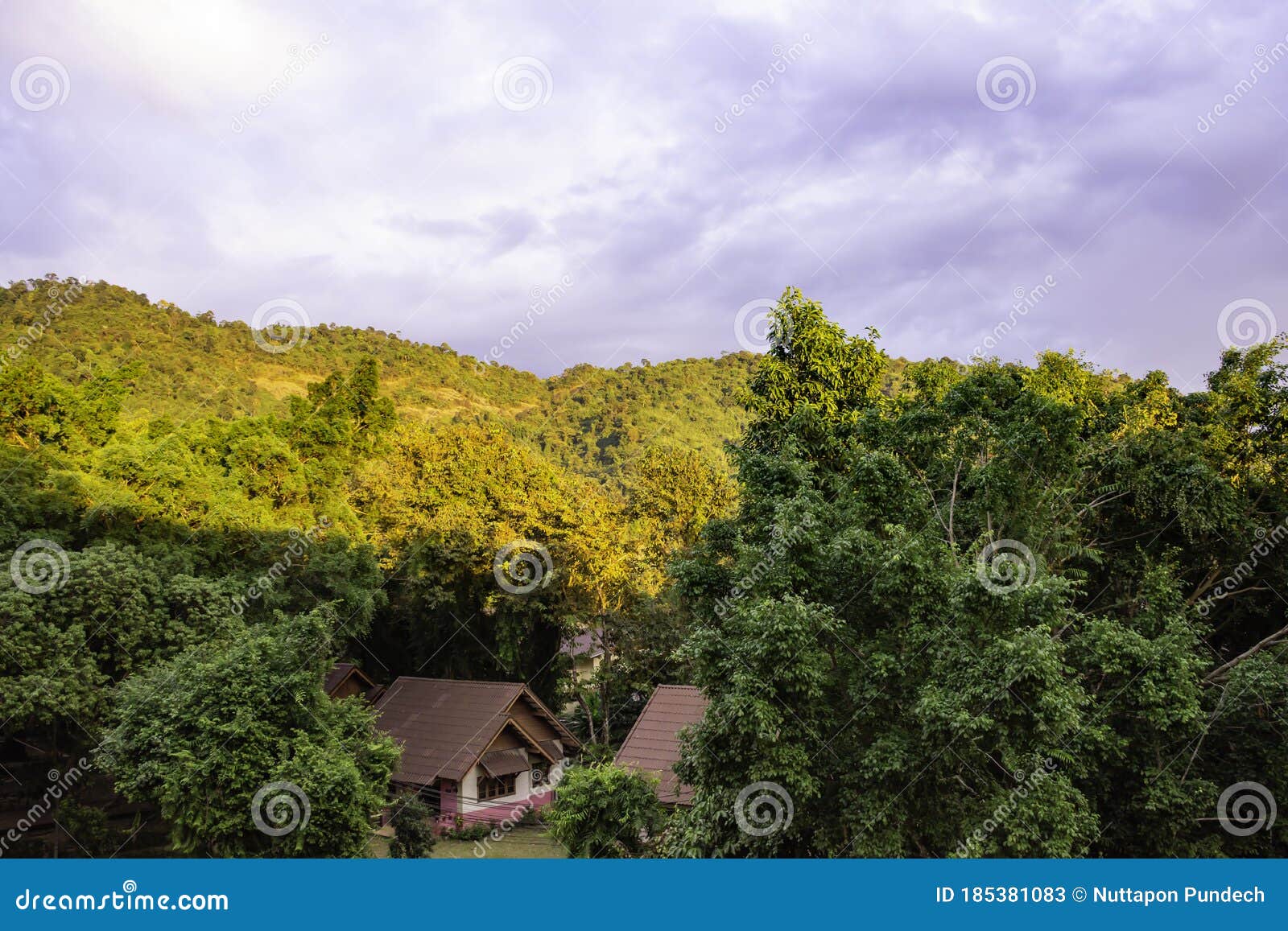 Bungalow House in the Middle of Green Forest Stock Image Image of