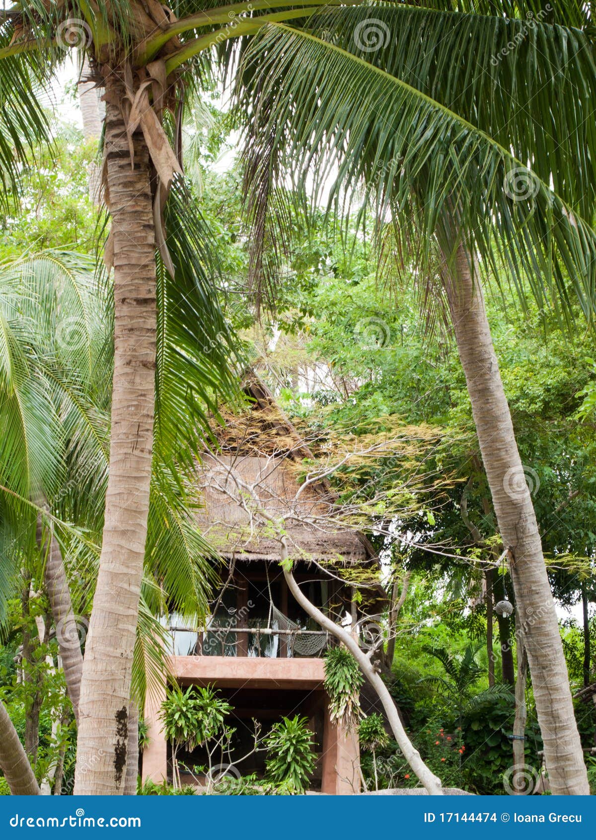 bungalow in palm trees