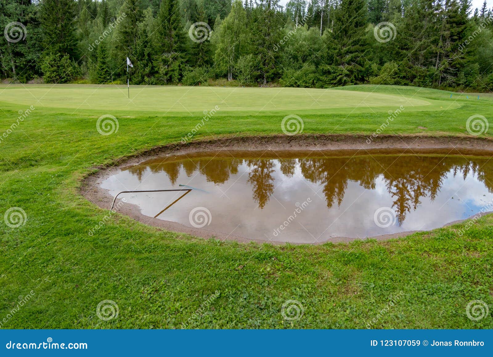 Bunker Full of Water on a Golf Course Stock Image Image of rake