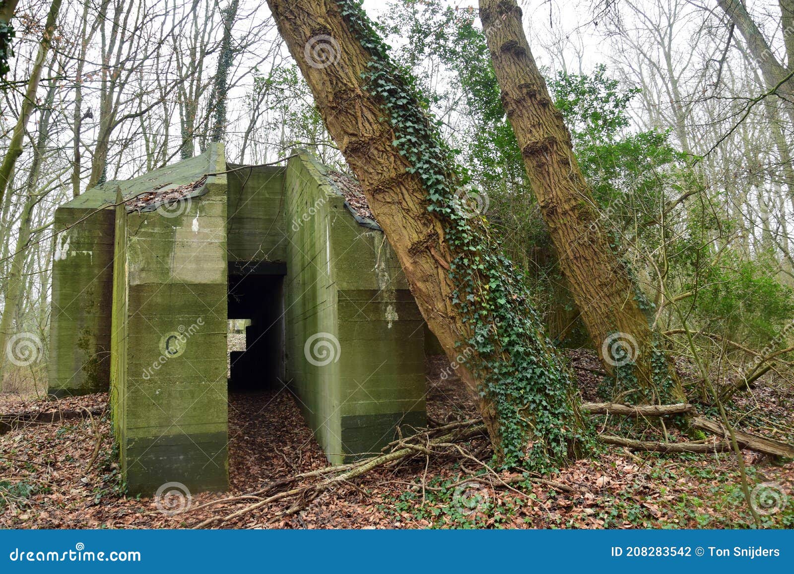 Bunkers From WW2 Still To Be Visited Editorial Image CartoonDealer secret-nazi-world-war-ii-bunkers-discovered-near-d-day-beaches-daily