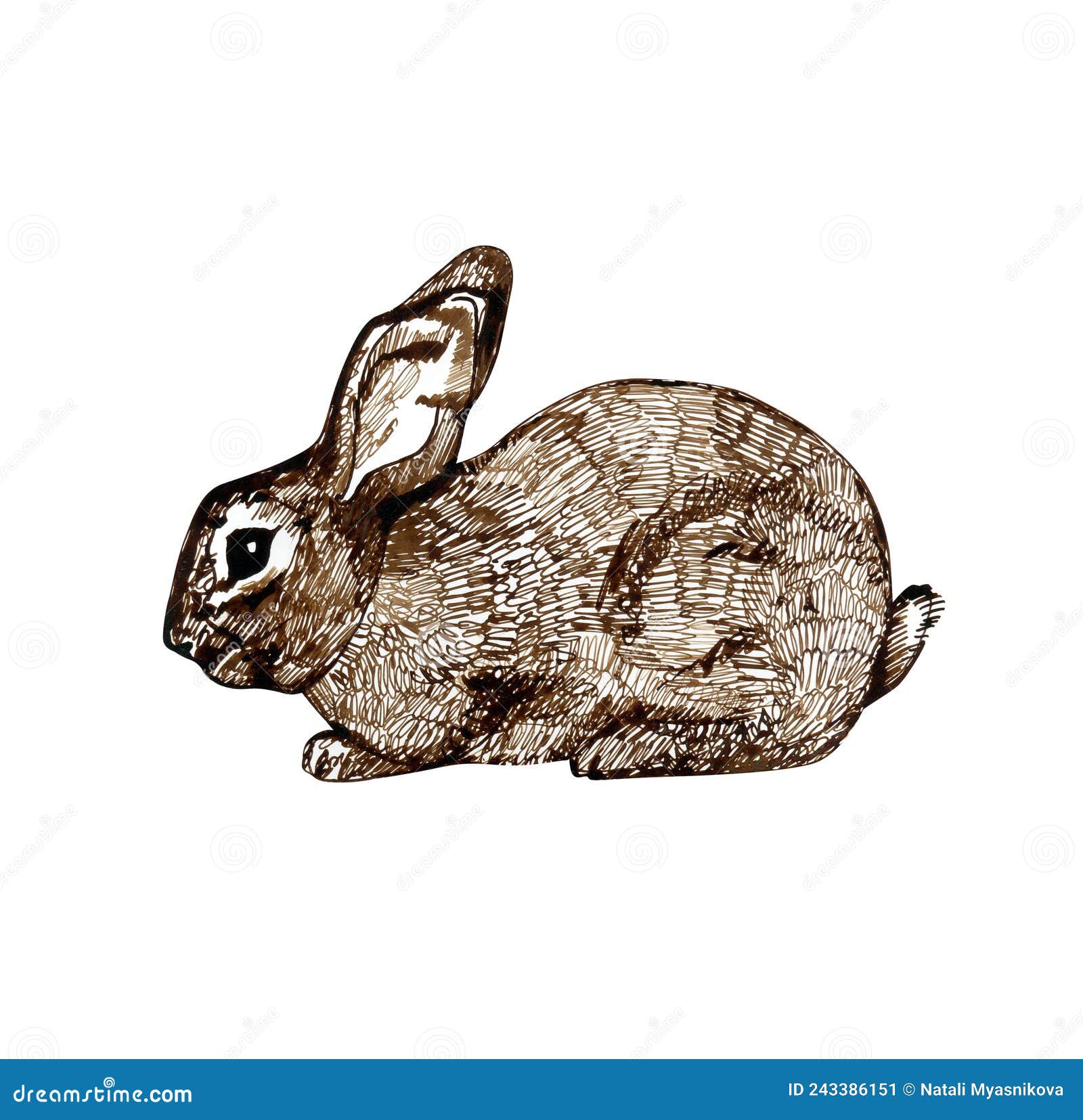 841 Animal Pencil Sketch Stock Photos - Free & Royalty-Free Stock Photos from Dreamstime 841 Animal Pencil Sketch Stock Photos - Free & Royalty-Free Stock Photos from Dreamstime