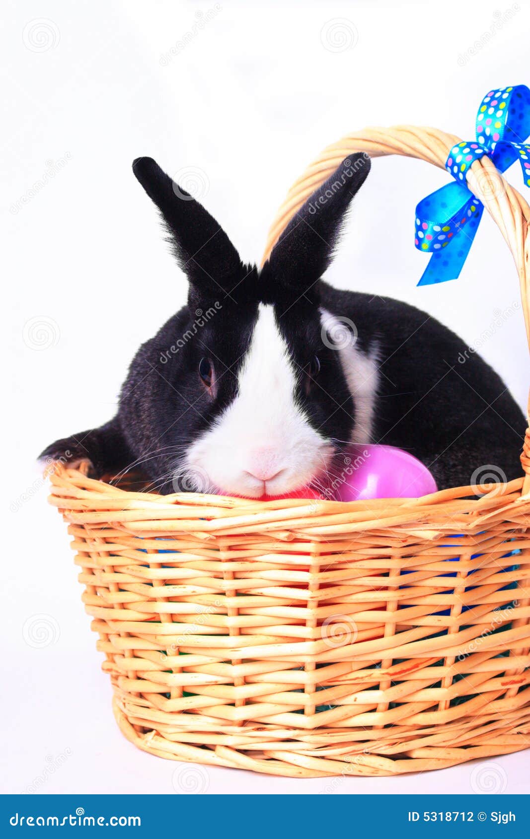 Bunny in Easter basket stock photo. Image of eggs, bunny 5318712