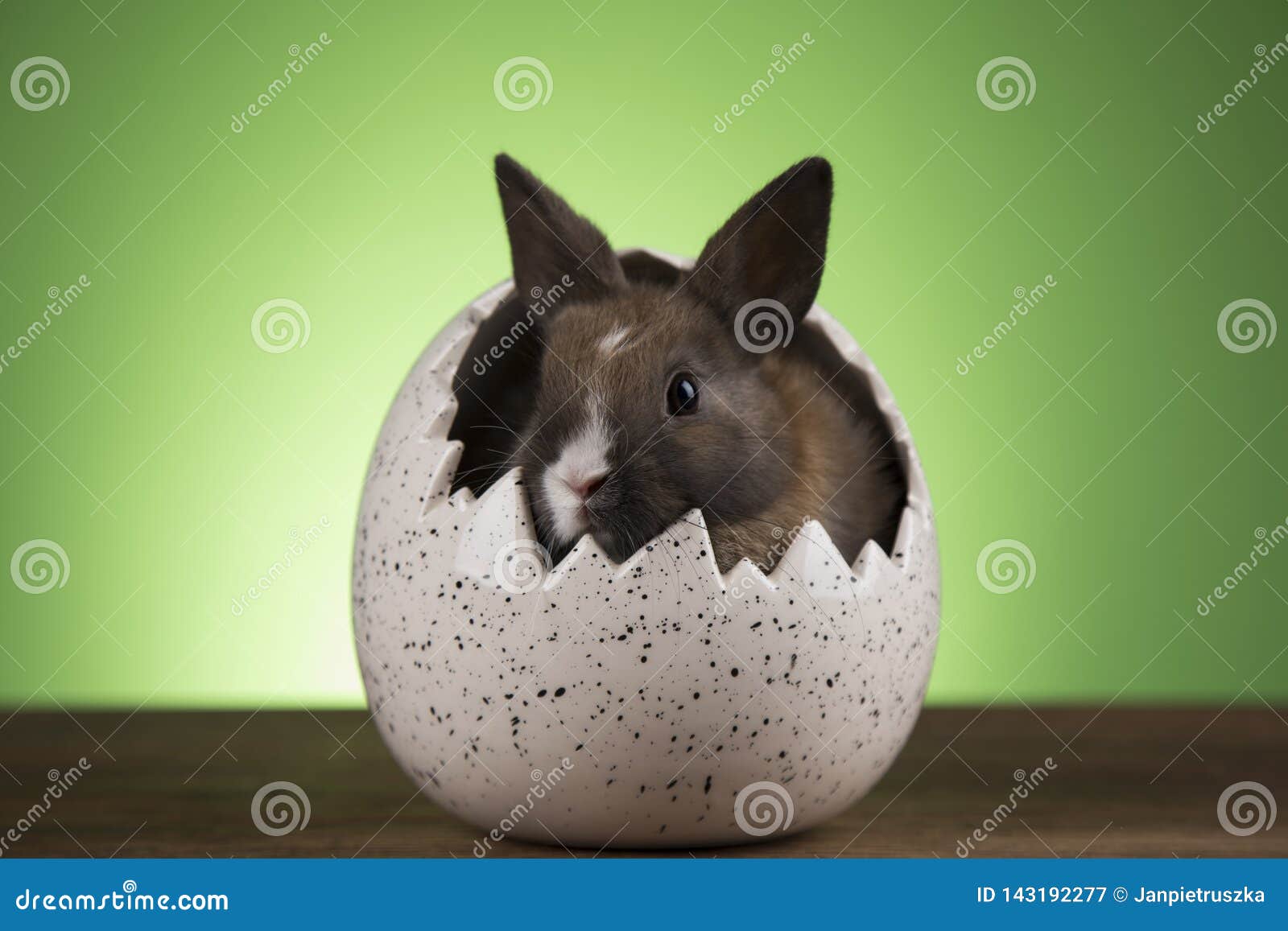 Bunny with Easter Eggs on Green Background Stock Image - Image of ...