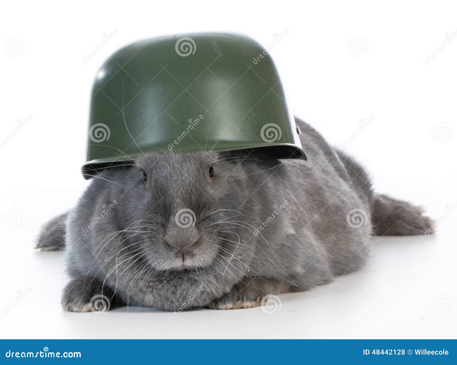 Military Easter Bunny