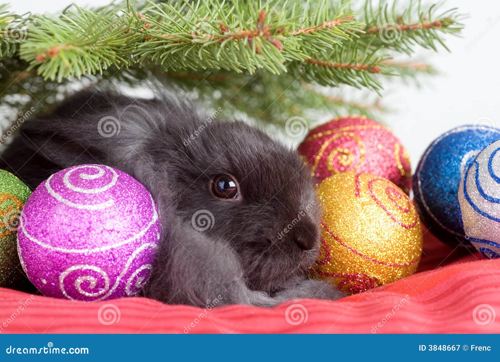 Bunny Under The Christmas Tree Stock Image Image of tender, season