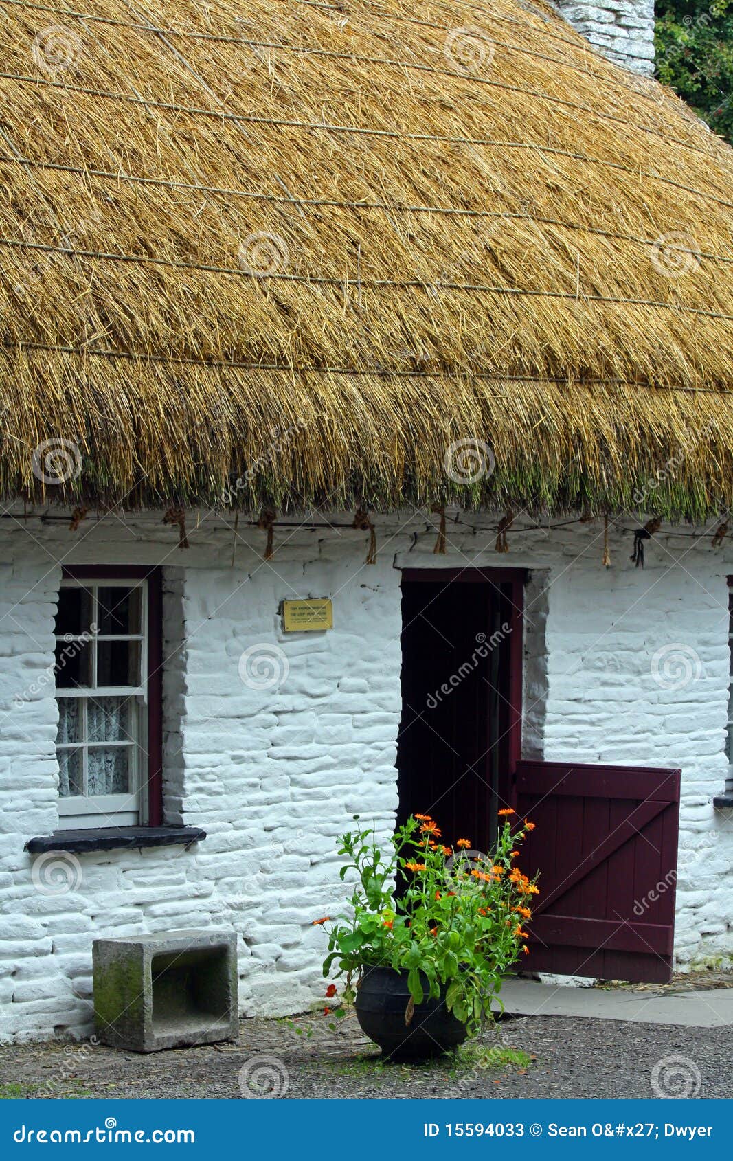 Den bunratty stugadörren blommar stablen