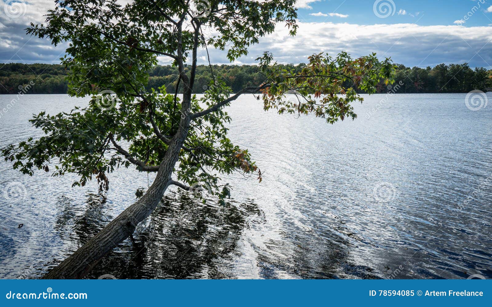 Bunte Herbst-Landschaft. Bunter Herbstlandschaftmoraine-Nationalpark ist ein Pennsylvania-Nationalparksee Arthur