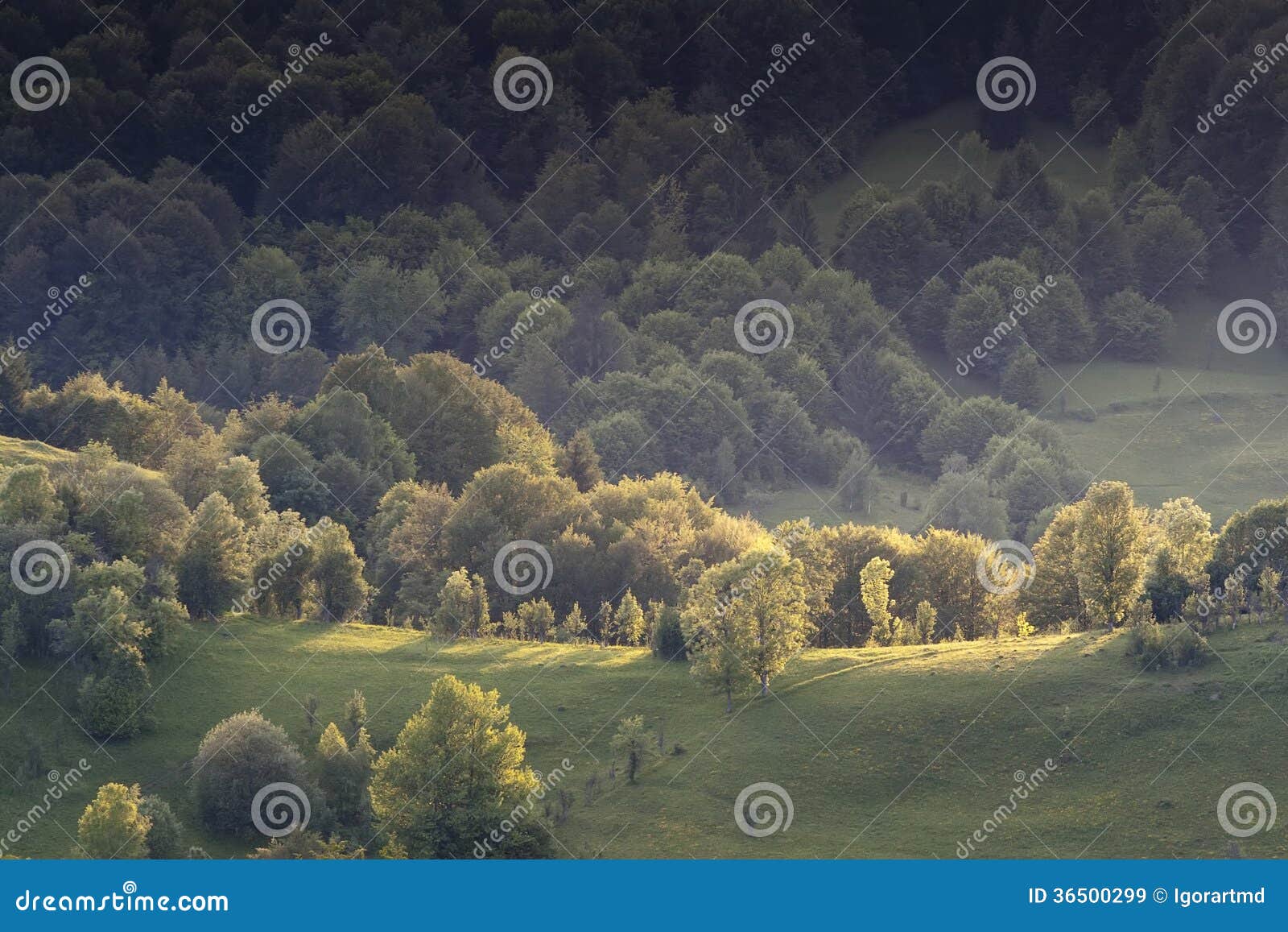 Bunte Sommerlandschaft im Karpatendorf