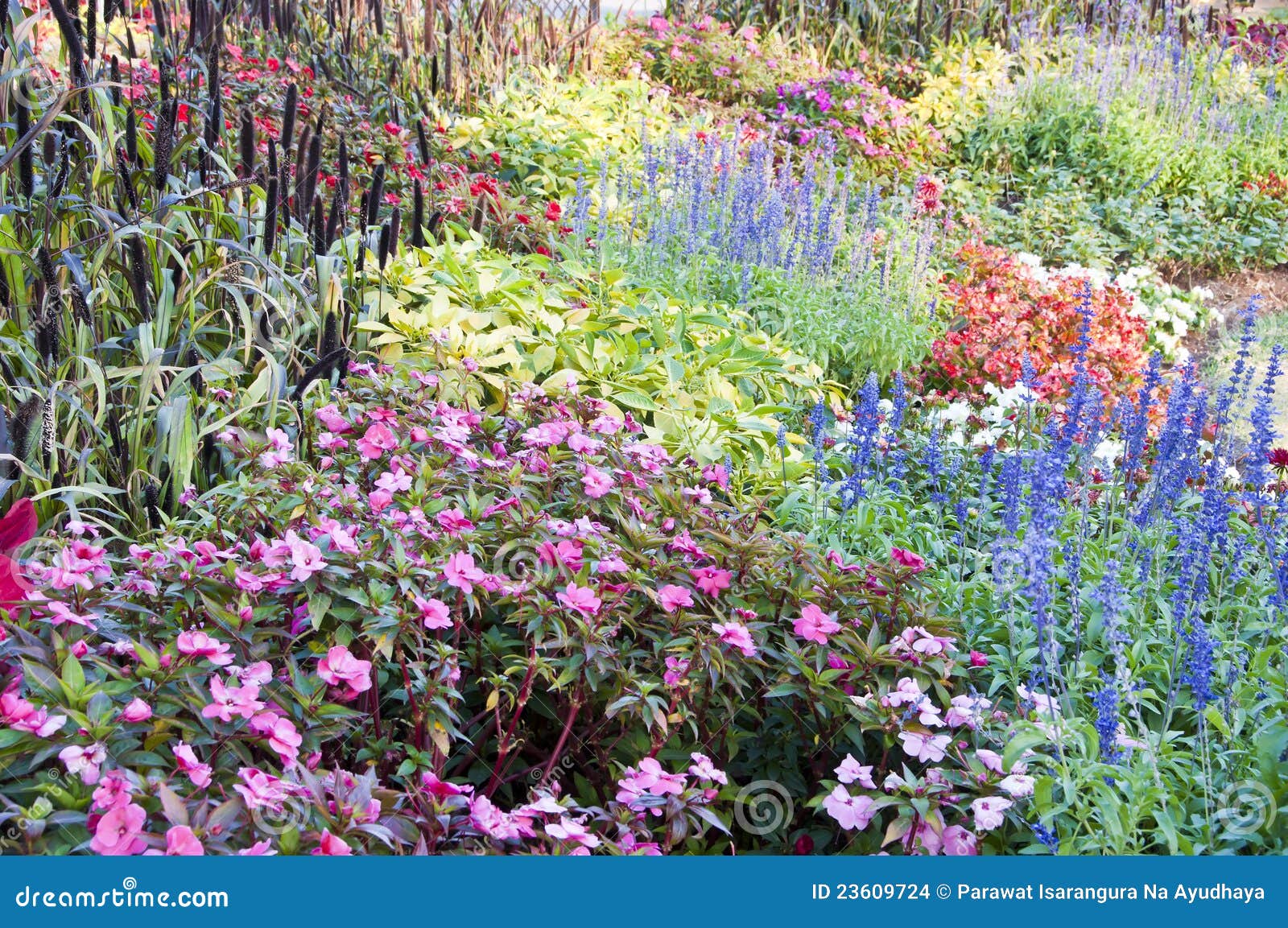 Bunter Blumengarten. stockfoto. Bild von blatt, frisch 23609724