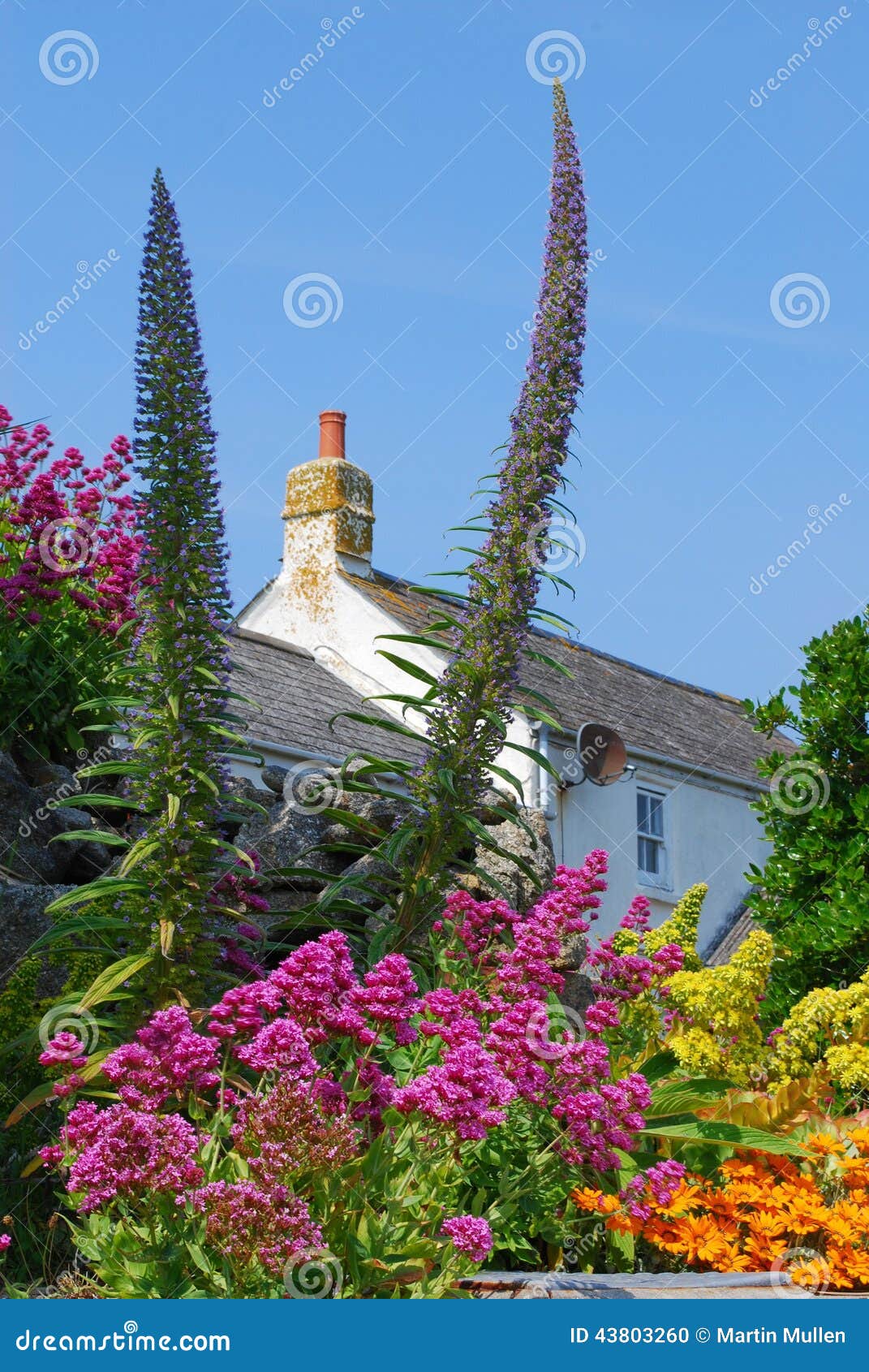 Bunter Garten. Eine bunte Gartenanzeige, St Martin, Inseln von Scilly, Cornwall