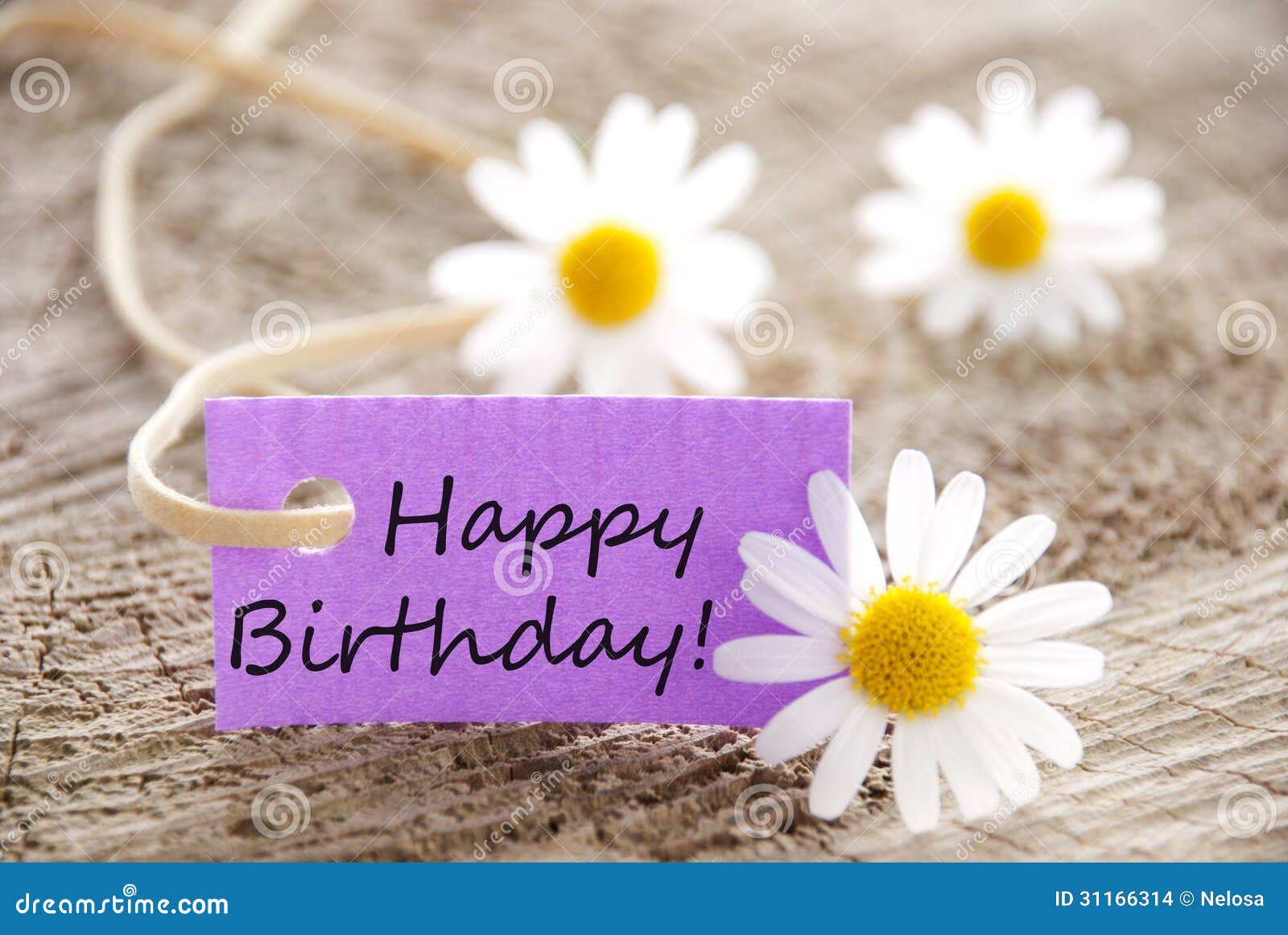 57 9 Fiori Di Buon Compleanno Foto Foto Stock Gratis E Royalty Free Da Dreamstime 57 9 Fiori Di Buon Compleanno Foto Foto Stock Gratis E Royalty Free Da Dreamstime