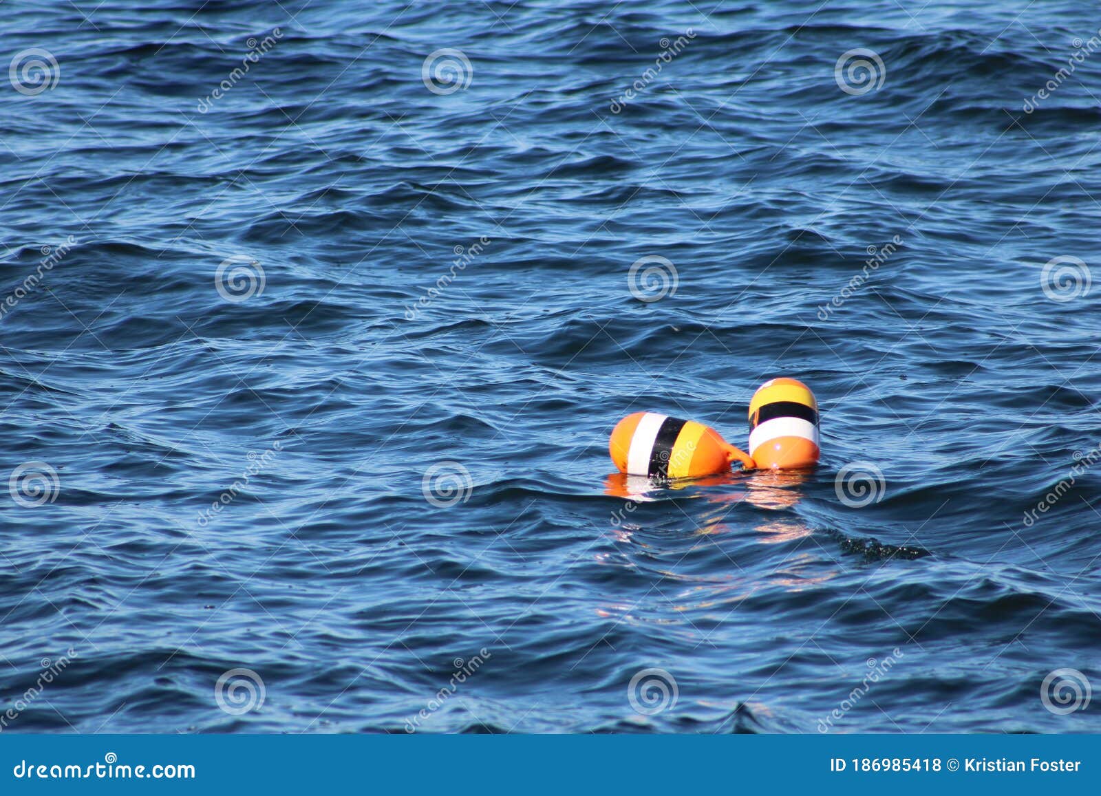 Buoy in Water stock photo. Image of wood, outdoors, winter - 186985418