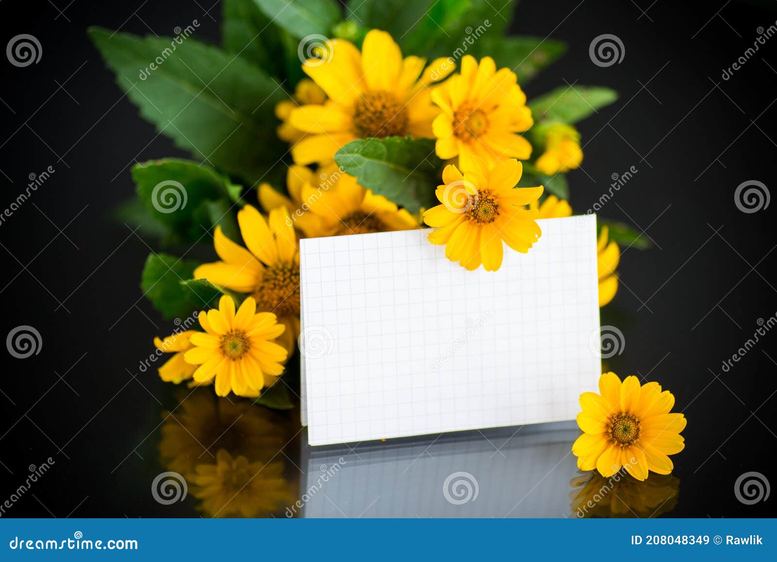 Buquê De Belas Margaridas Amarelas Sobre Fundo Negro Imagem de Stock -  Imagem de fundo, florescer: 208048349