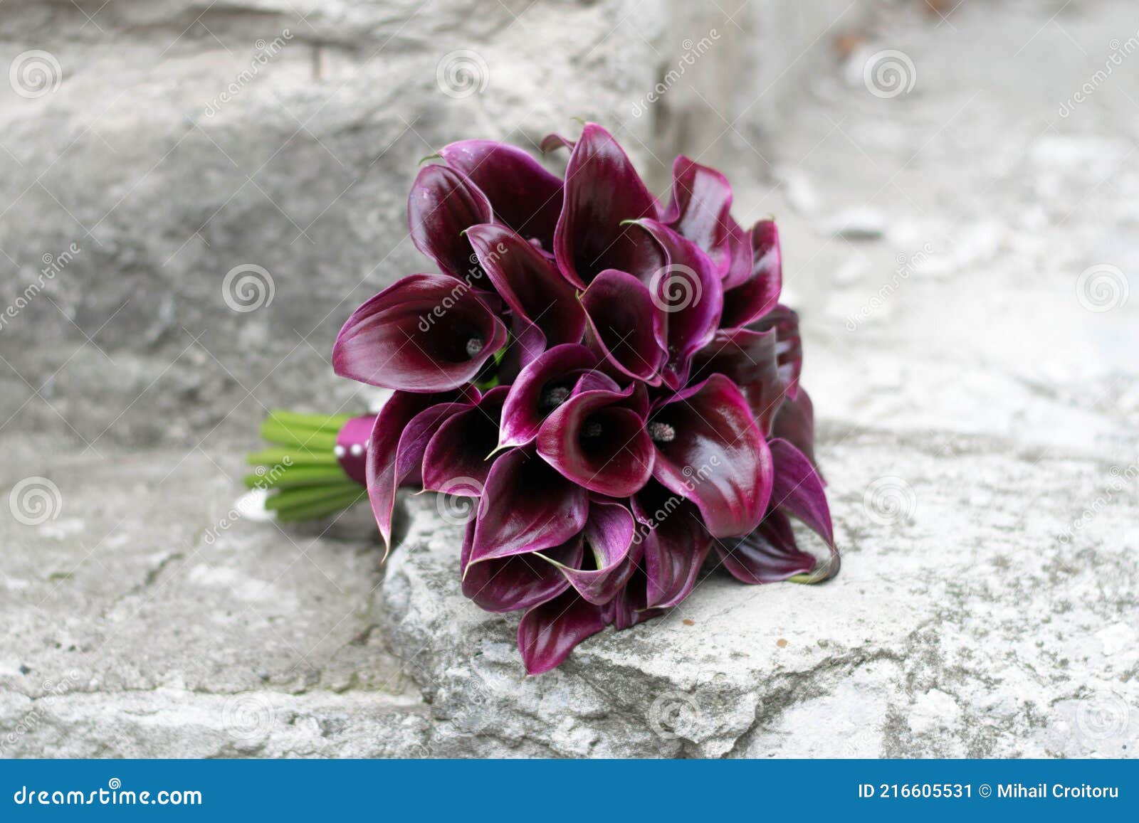 Buquê De Noiva De Cápsulas Escuras. Buquê De Casamento Roxo. Calla Lily  Negra. Imagem de Stock - Imagem de presente, acoplamento: 216605531