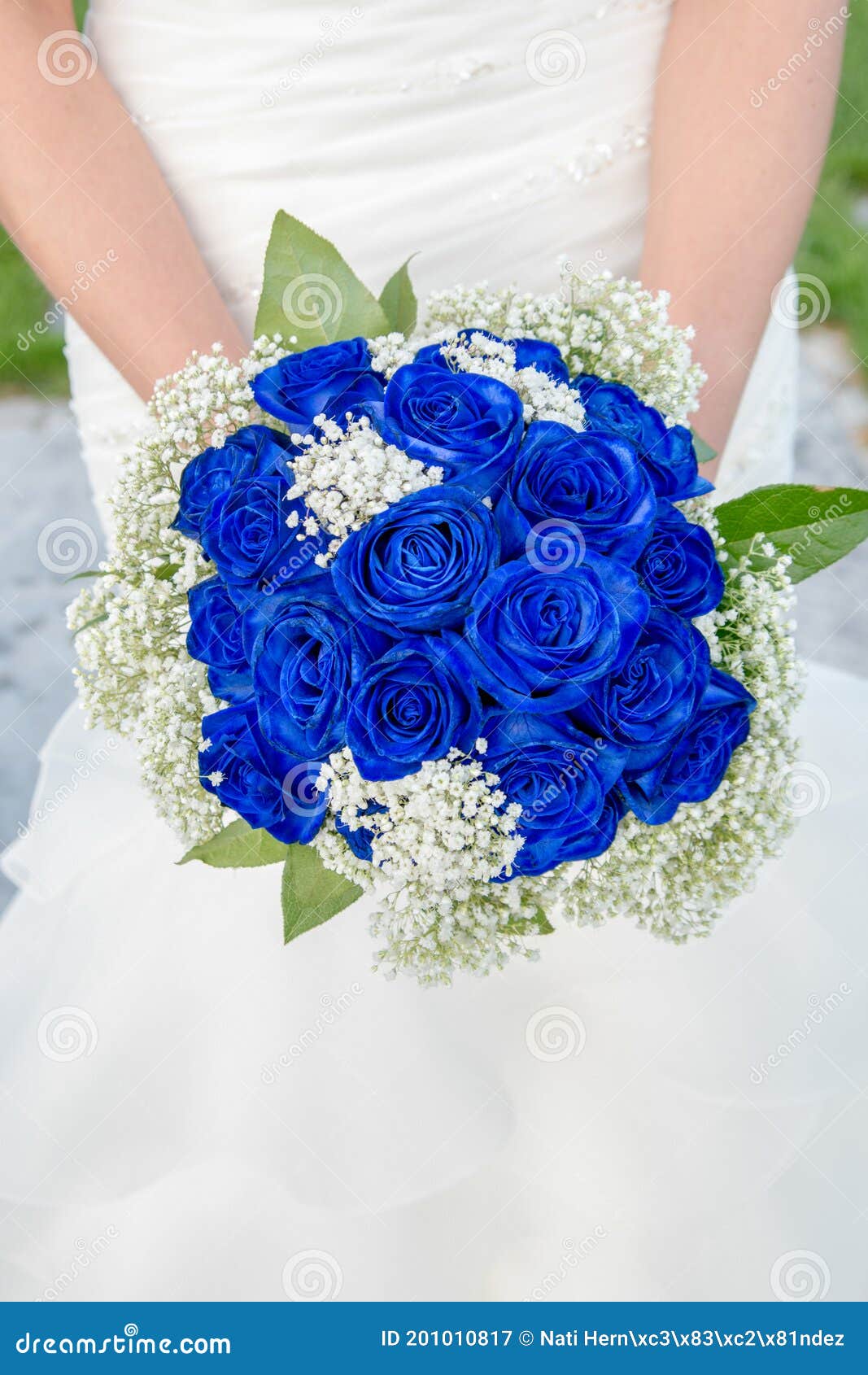 Buquê Elegante De Rosas Azuis Nas Mãos De Uma Noiva. Imagem de Stock -  Imagem de pequeno, horticultura: 201010817