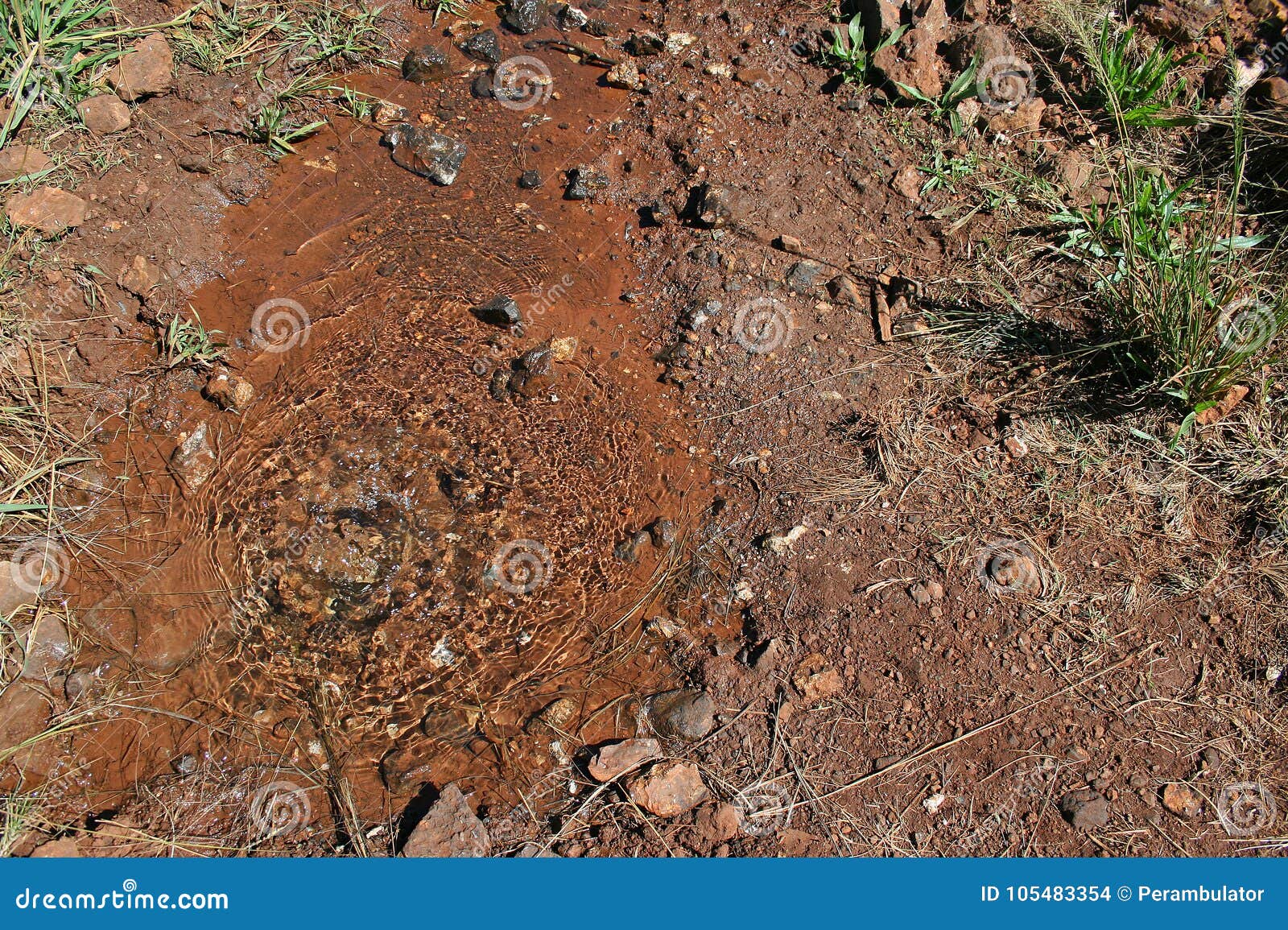 burbling water from an underground source
