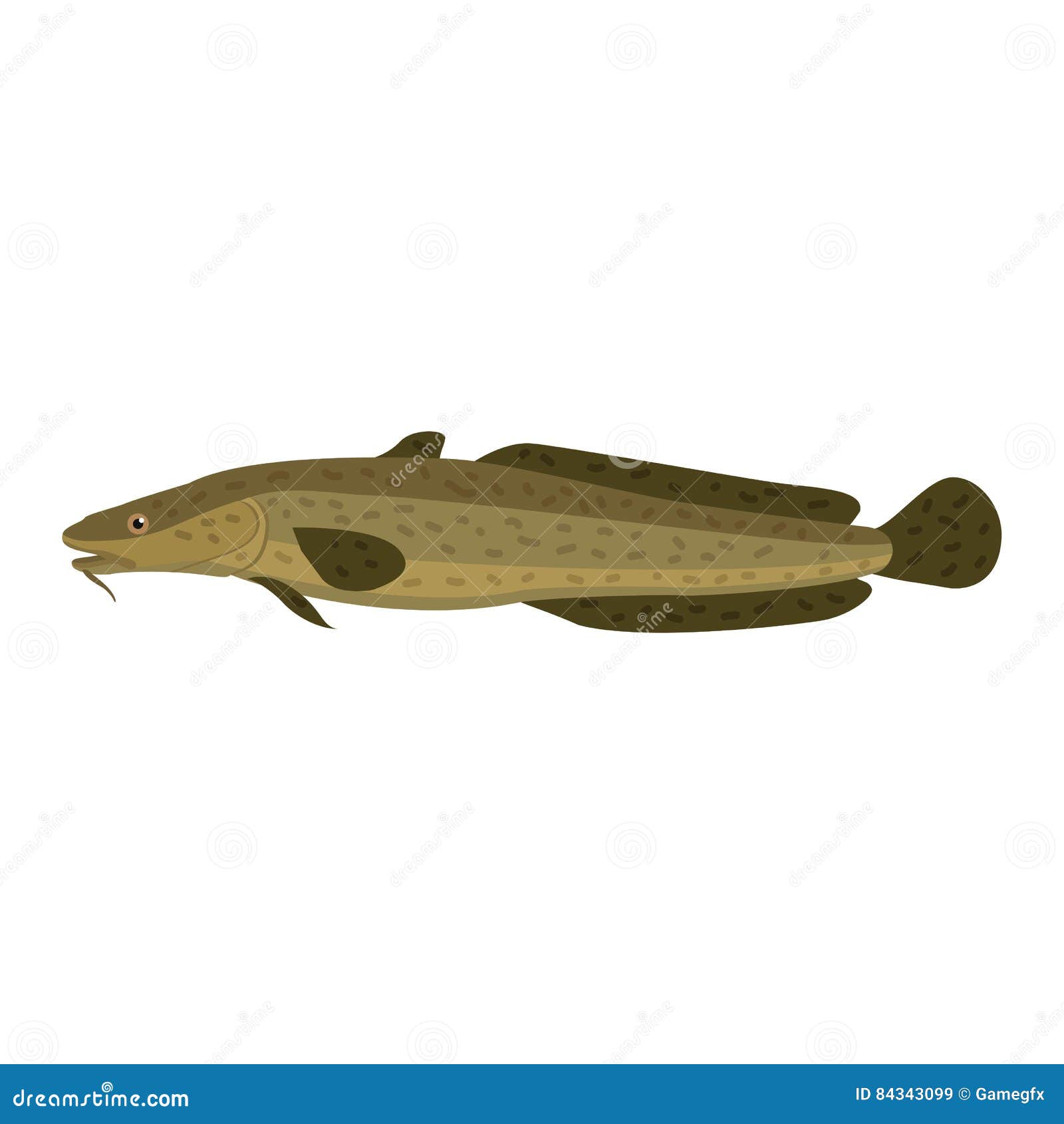 freshwater ling fish