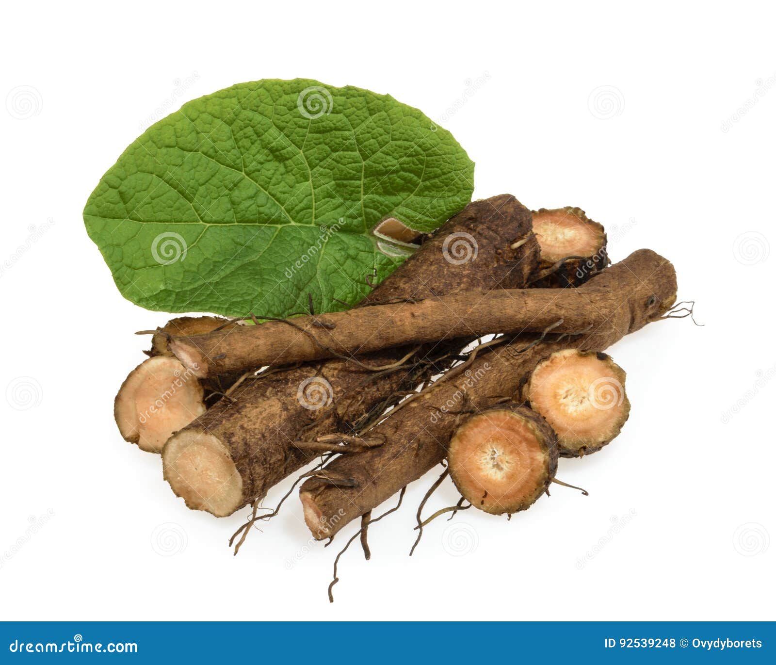 burdock root 