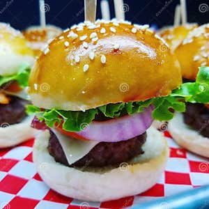 Burger Stock Image Image Of Food Yummy Cute Burger 152373125 Burger Stock Image Image Of Food Yummy Cute Burger 152373125