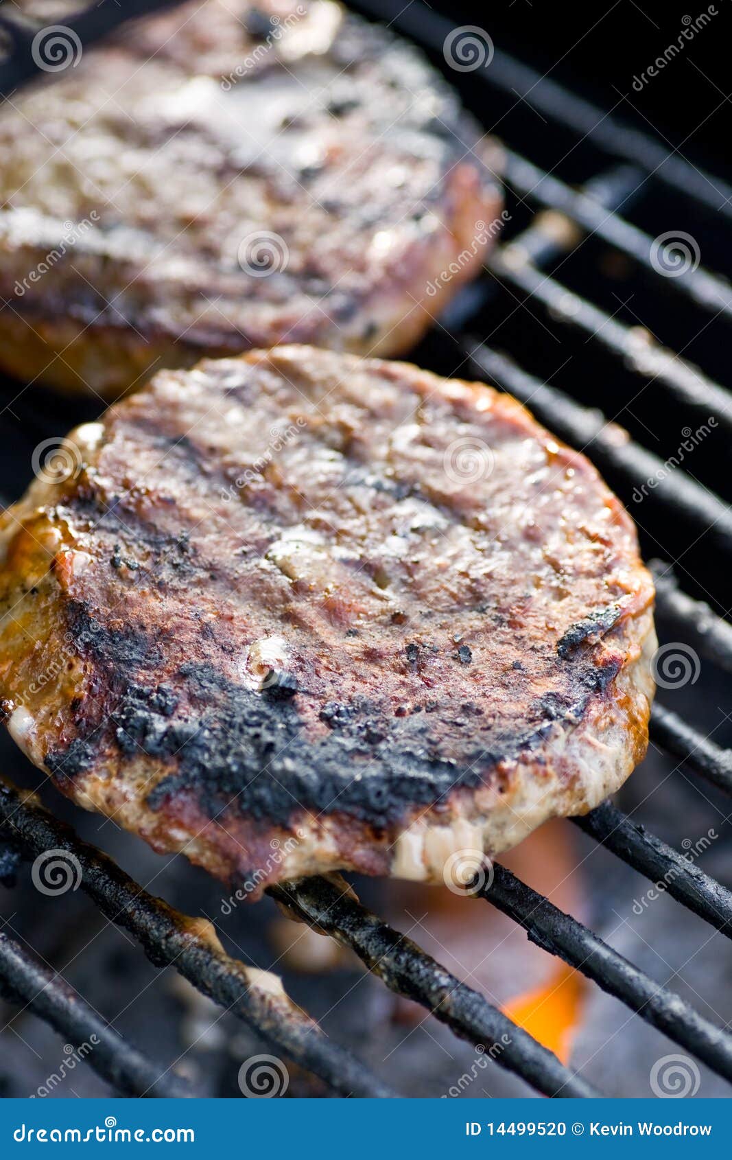 Burgers on the barbeque stock photo. Image of marks, cooking 14499520
