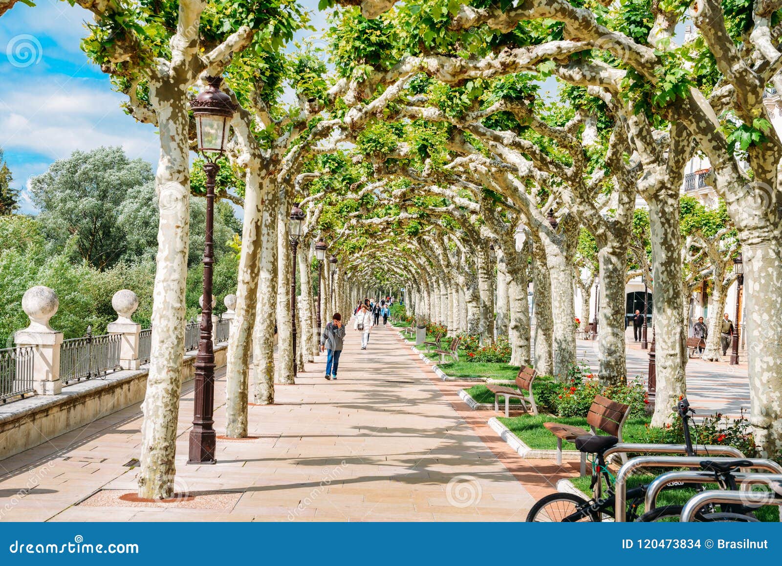 Burgos, Spain - June 13, 2018: Tree-lined promenade boulevard during the Spring at the historic centre of Burgos, Spain