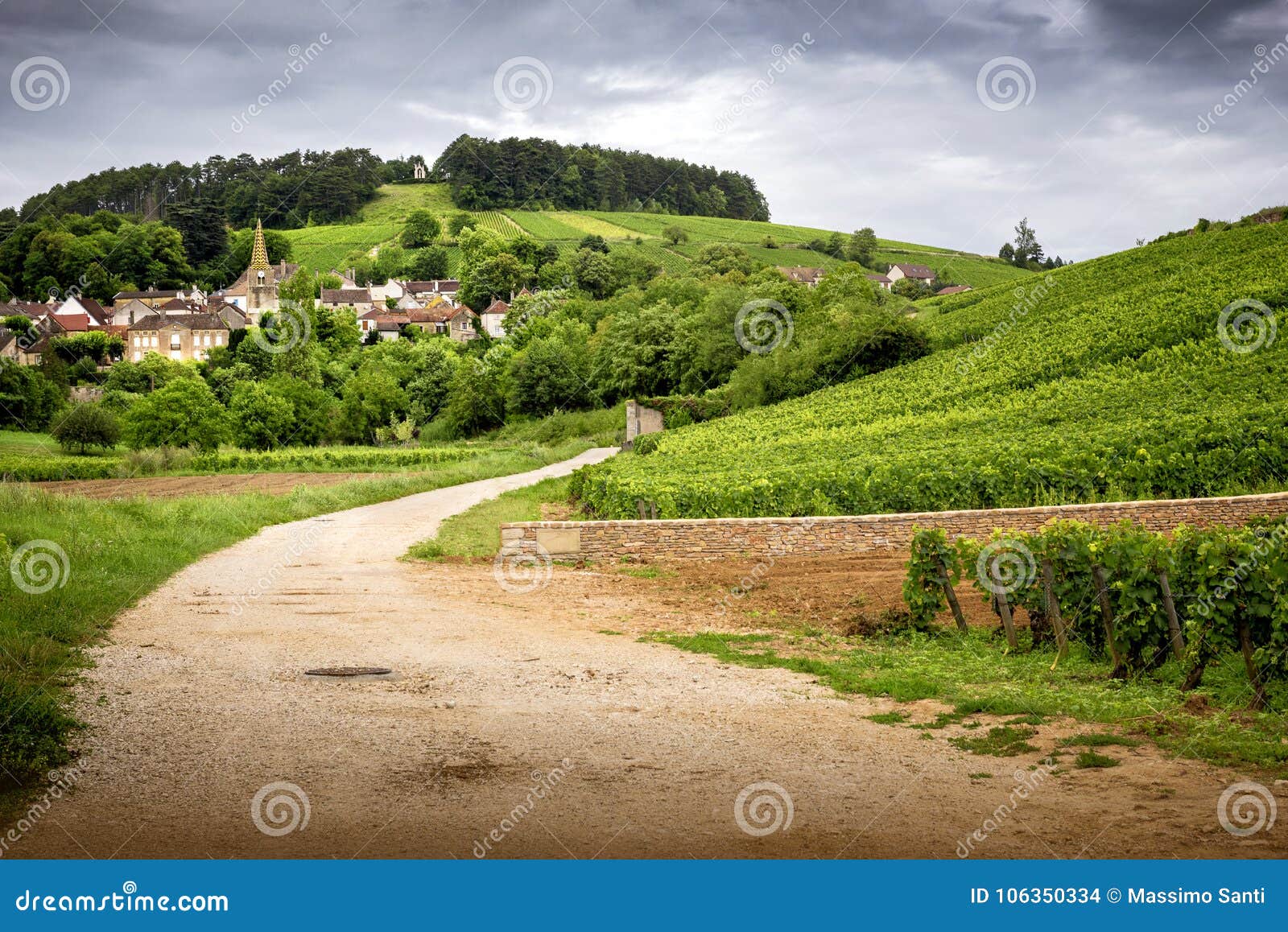 burgundy. road in the vineyards leading to the village of pernand-vergelesses in cÃÂ´te de beaune. france