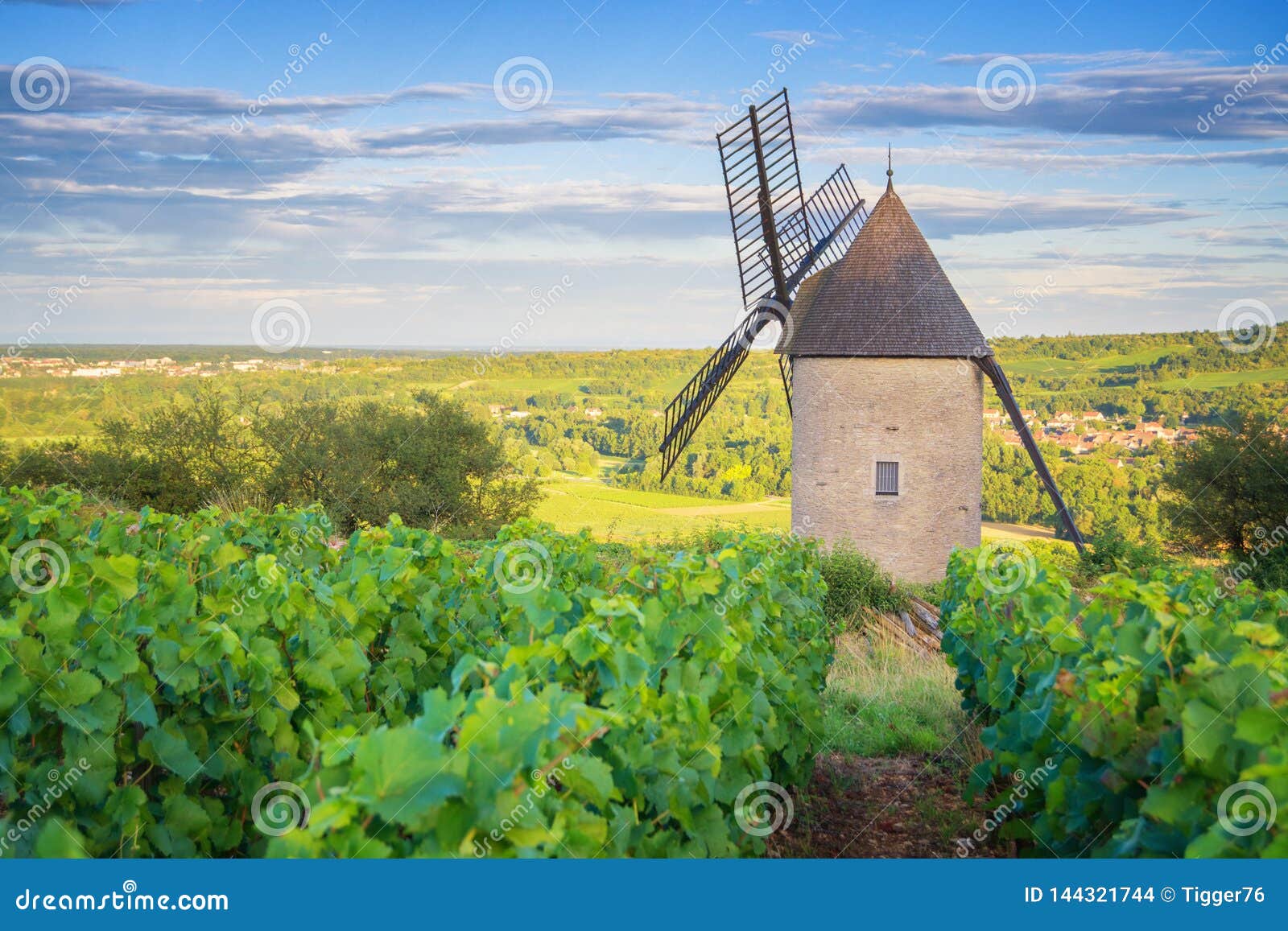 Burgundy Vineyard France stock photo. Image of wine 144321744
