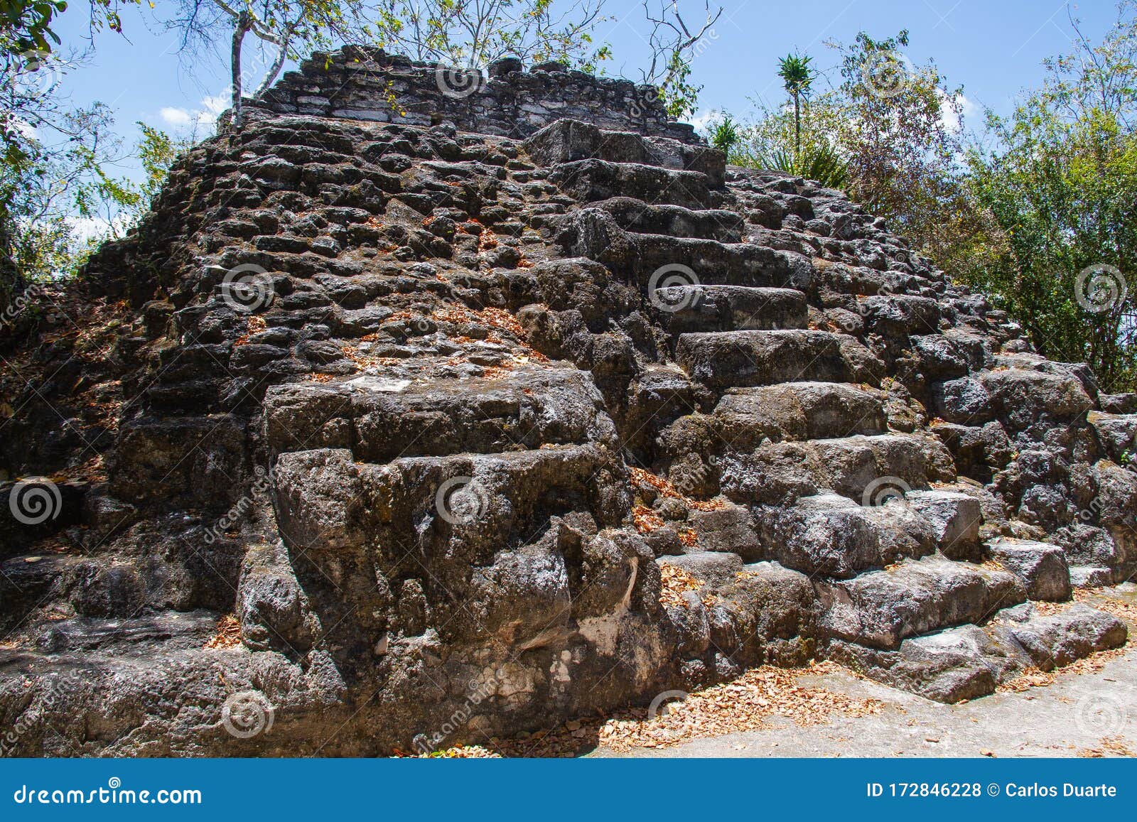 archaeological site: el mirador, the cradle of mayan civilization and the oldest mayan city in history