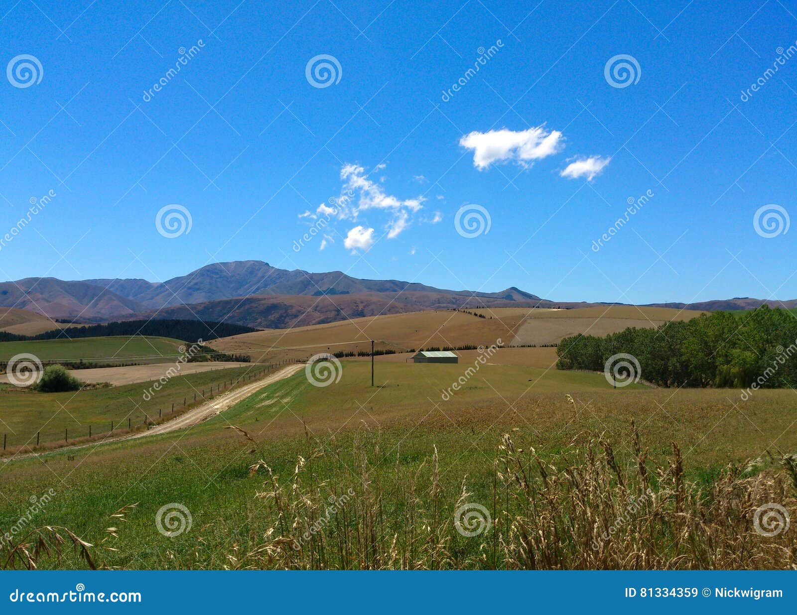 Burkes Pass, NZ stock image. Image of paddocks, barn 81334359