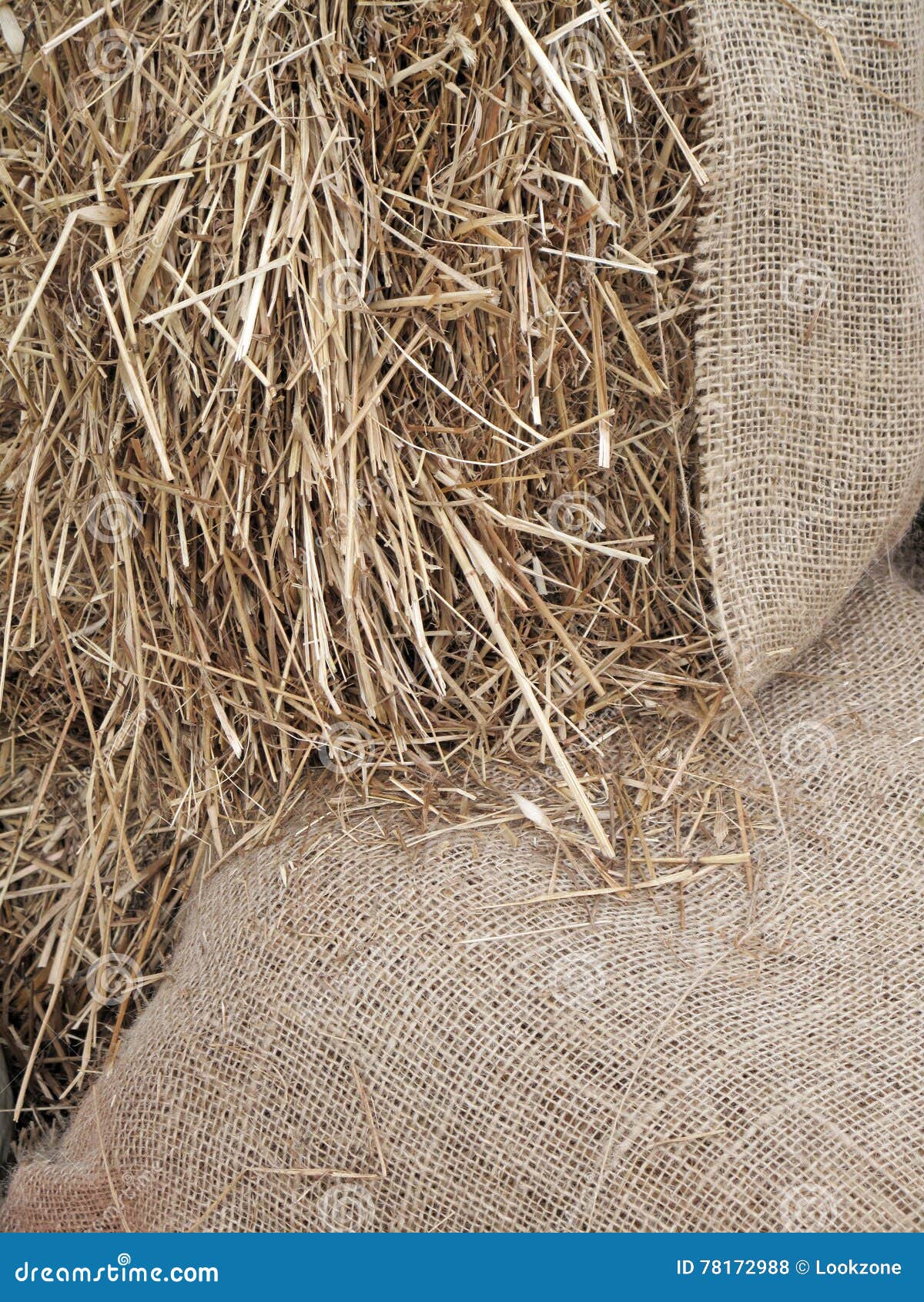Burlap with Straw stock photo. Image of dried, closeup 78172988
